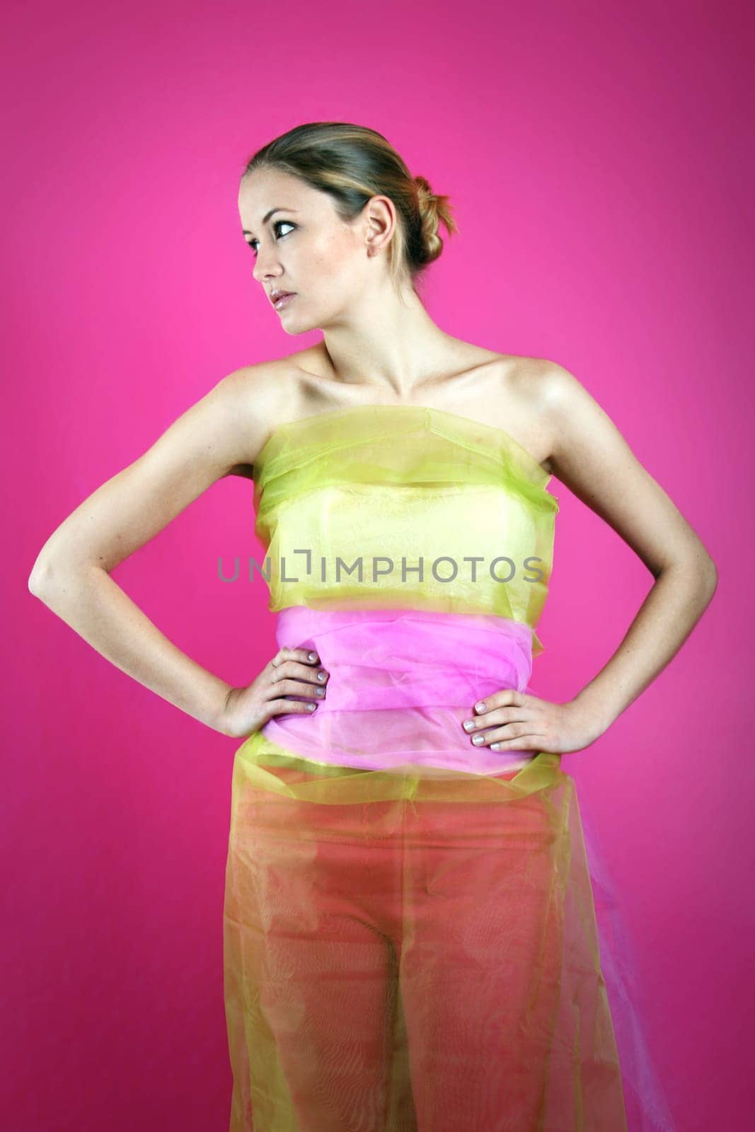 Model