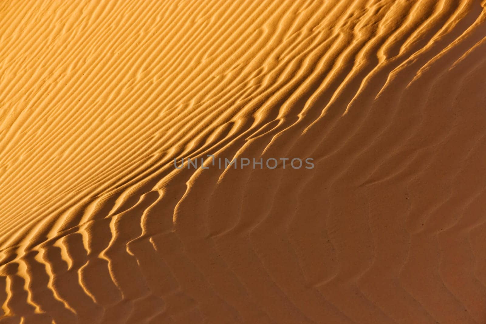 desert sand close-up in sunlight