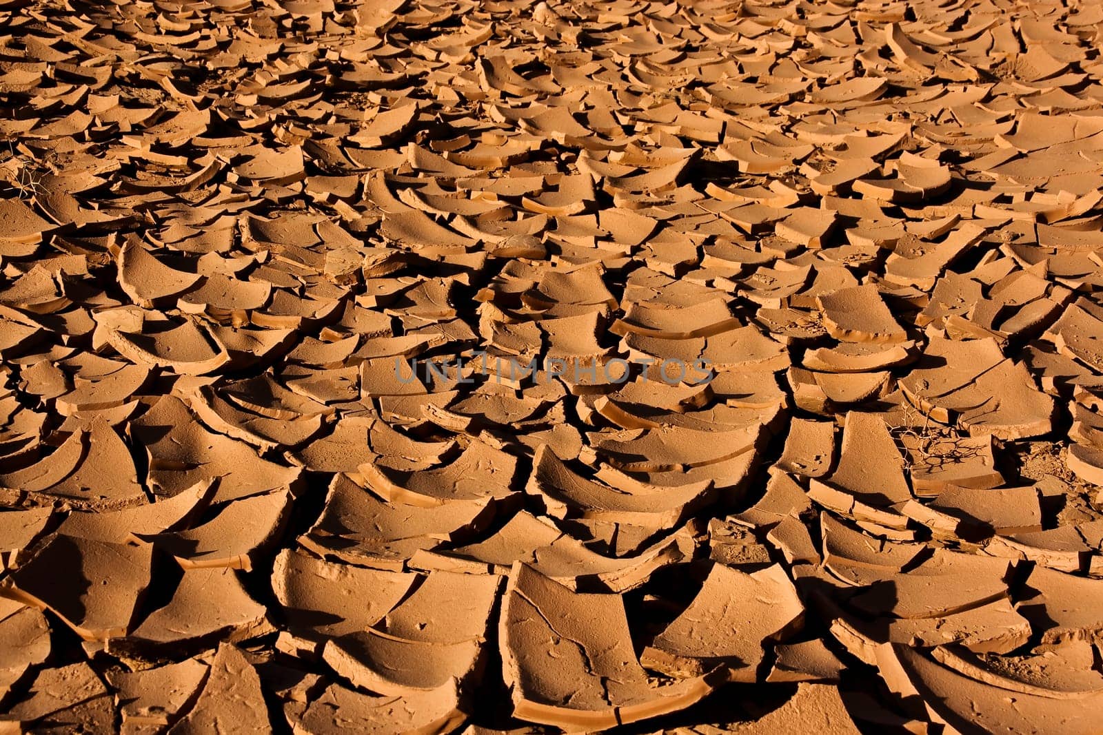dry earth in sunshine