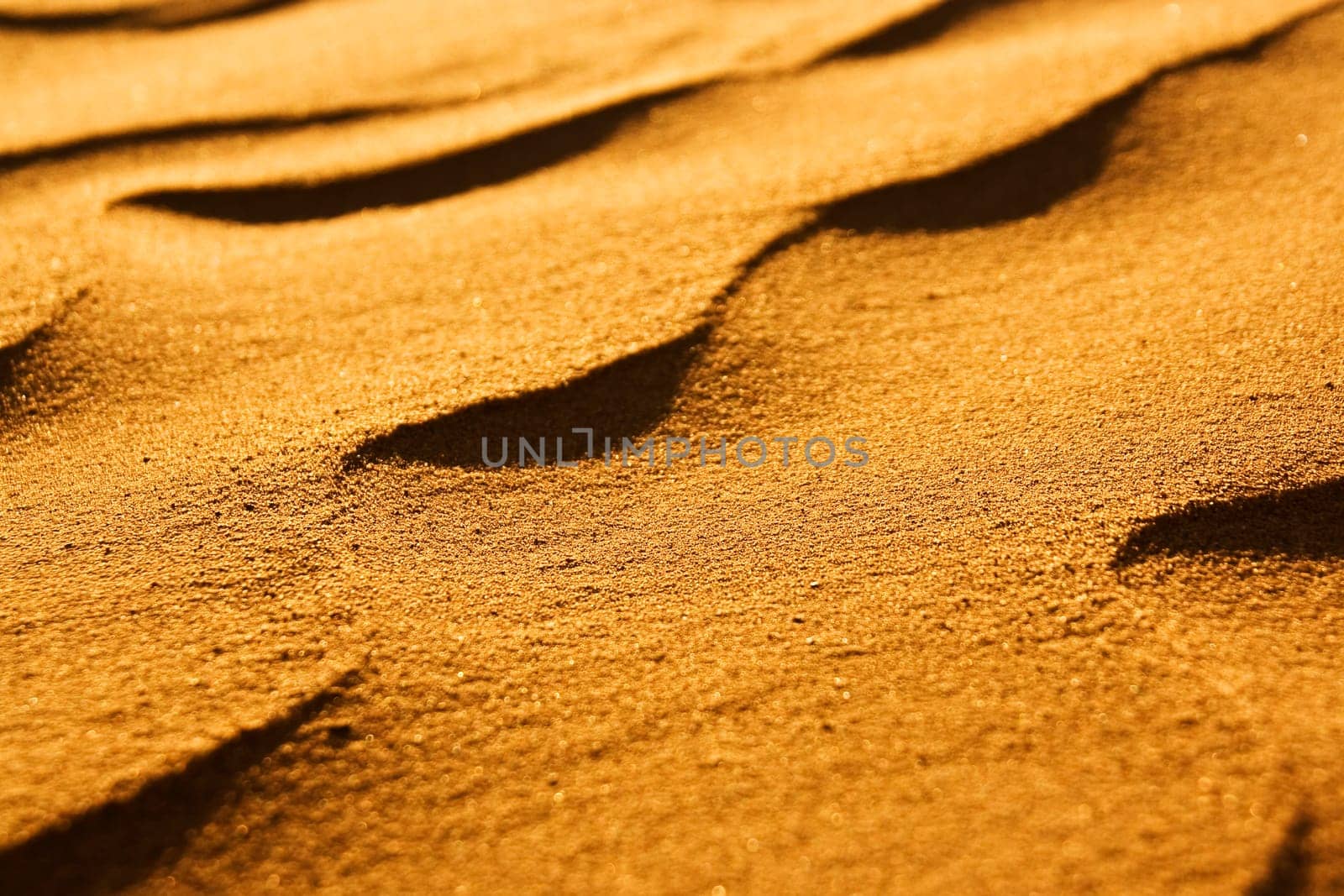 desert sand close-up in sunlight