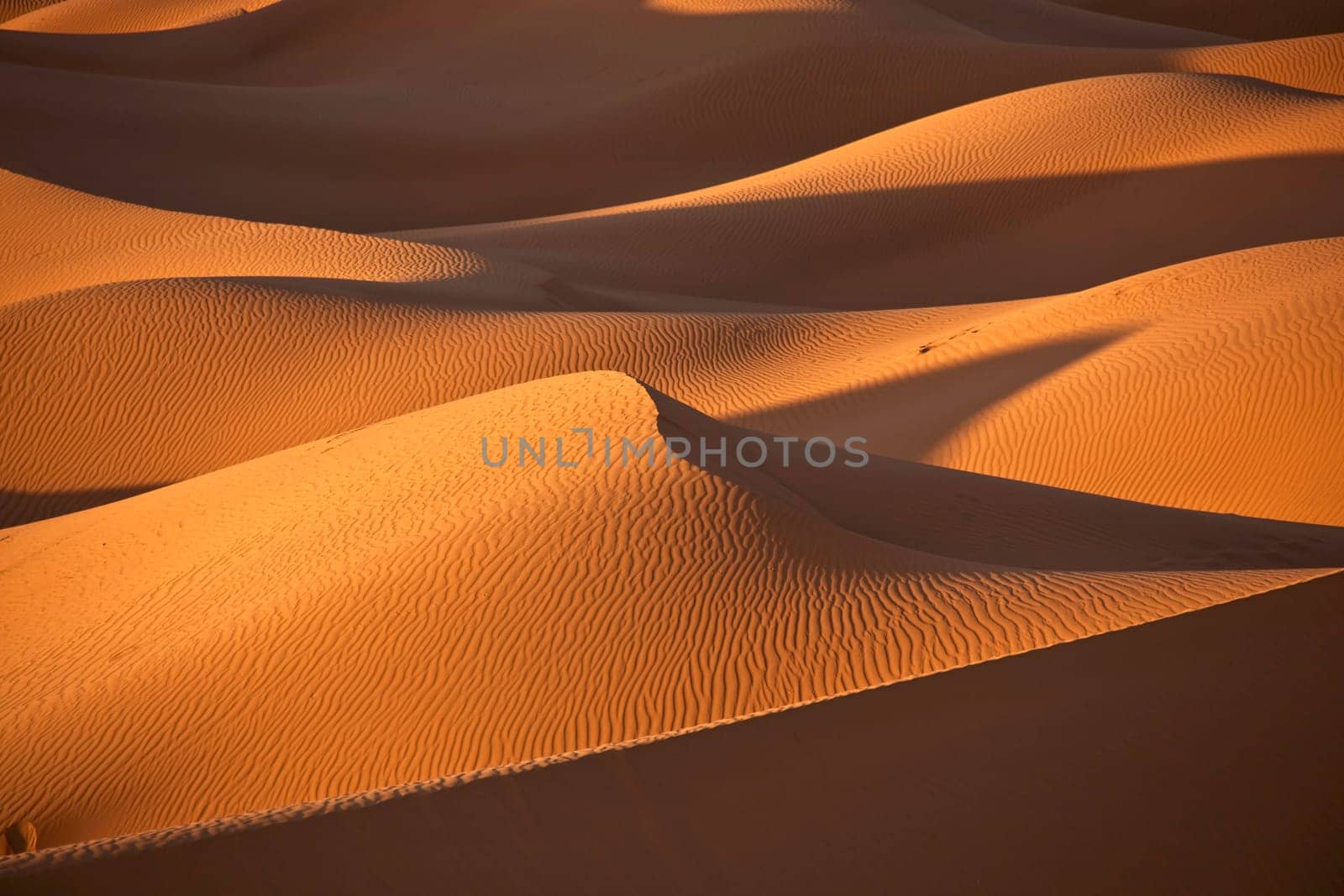 sand dunes in the desert with shadows