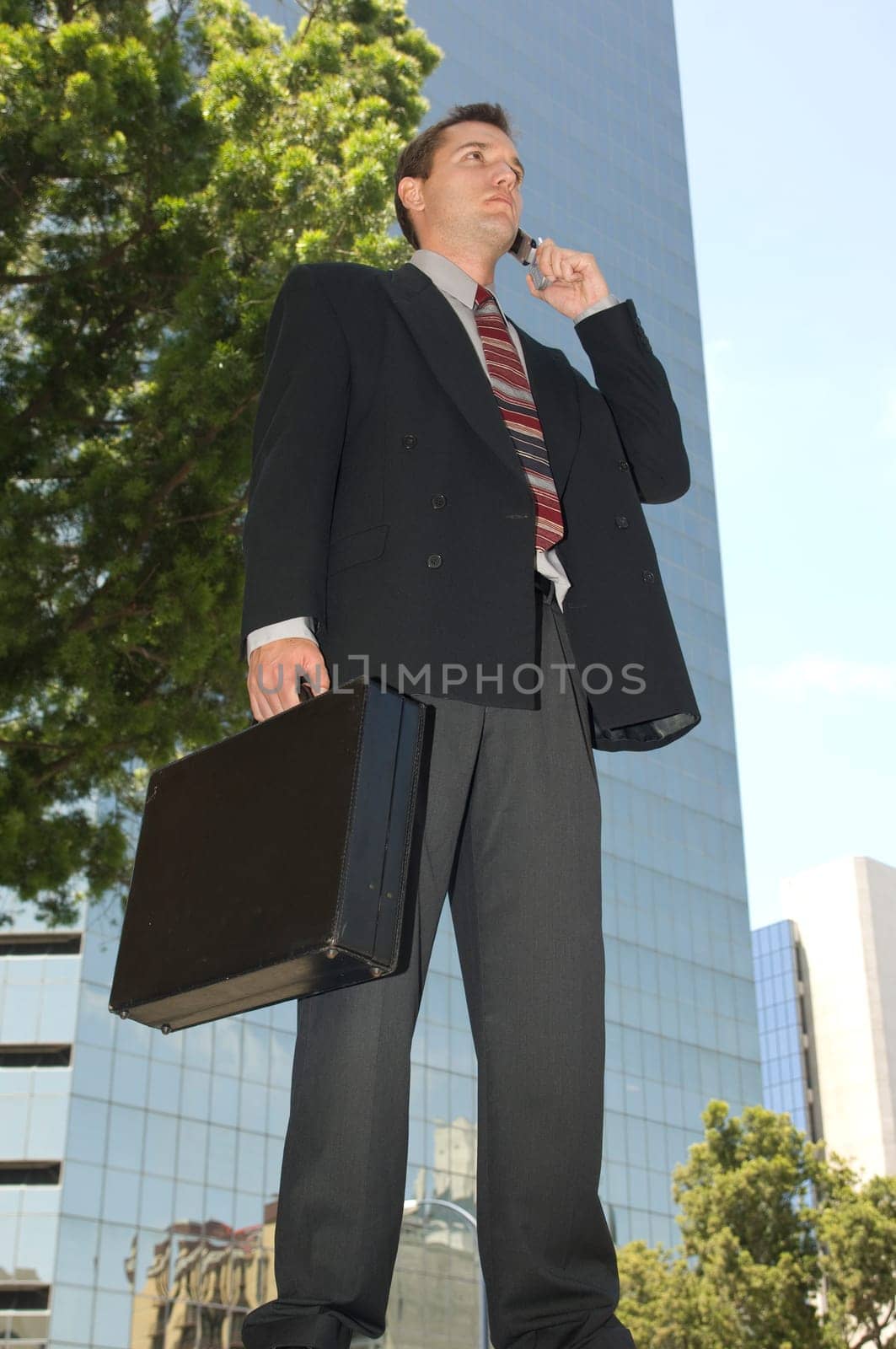 Aspiring Businessman