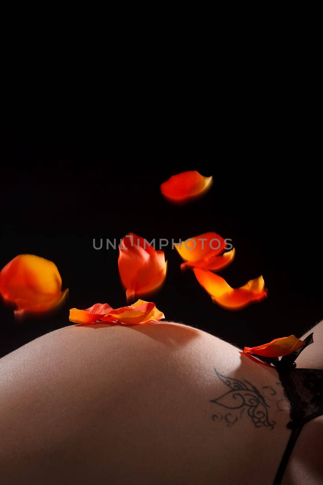 Falling rose petals