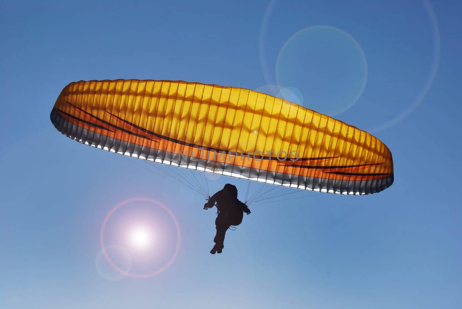Paragliding 8325