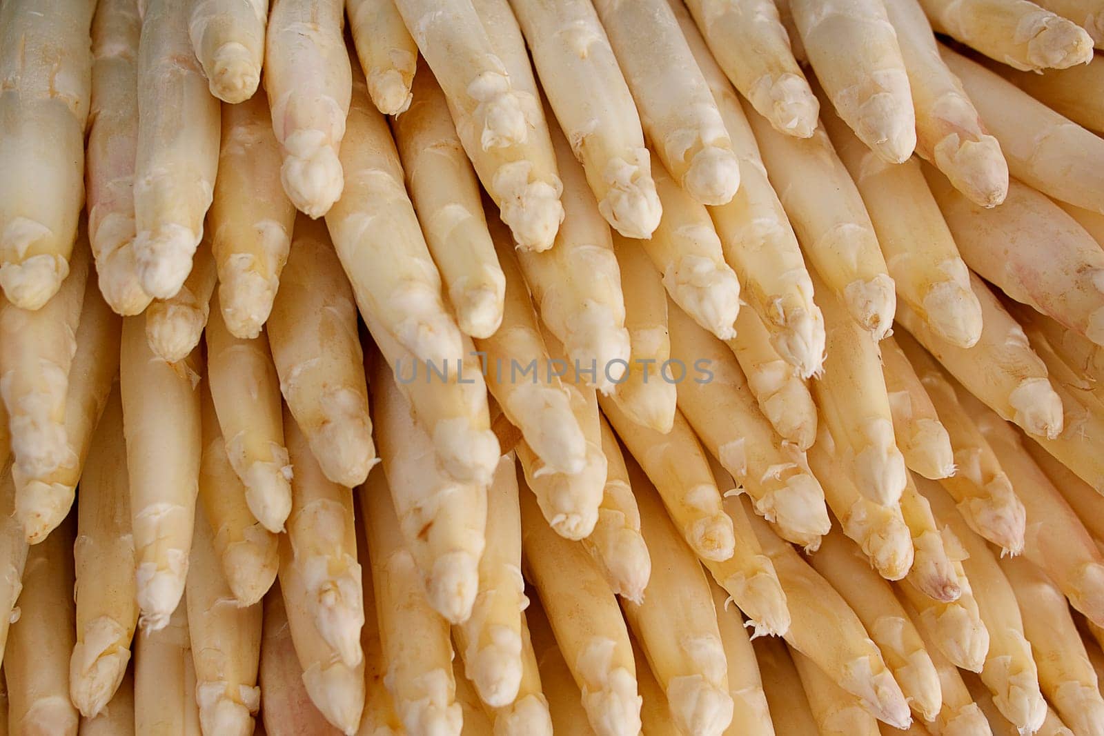 white asparagus