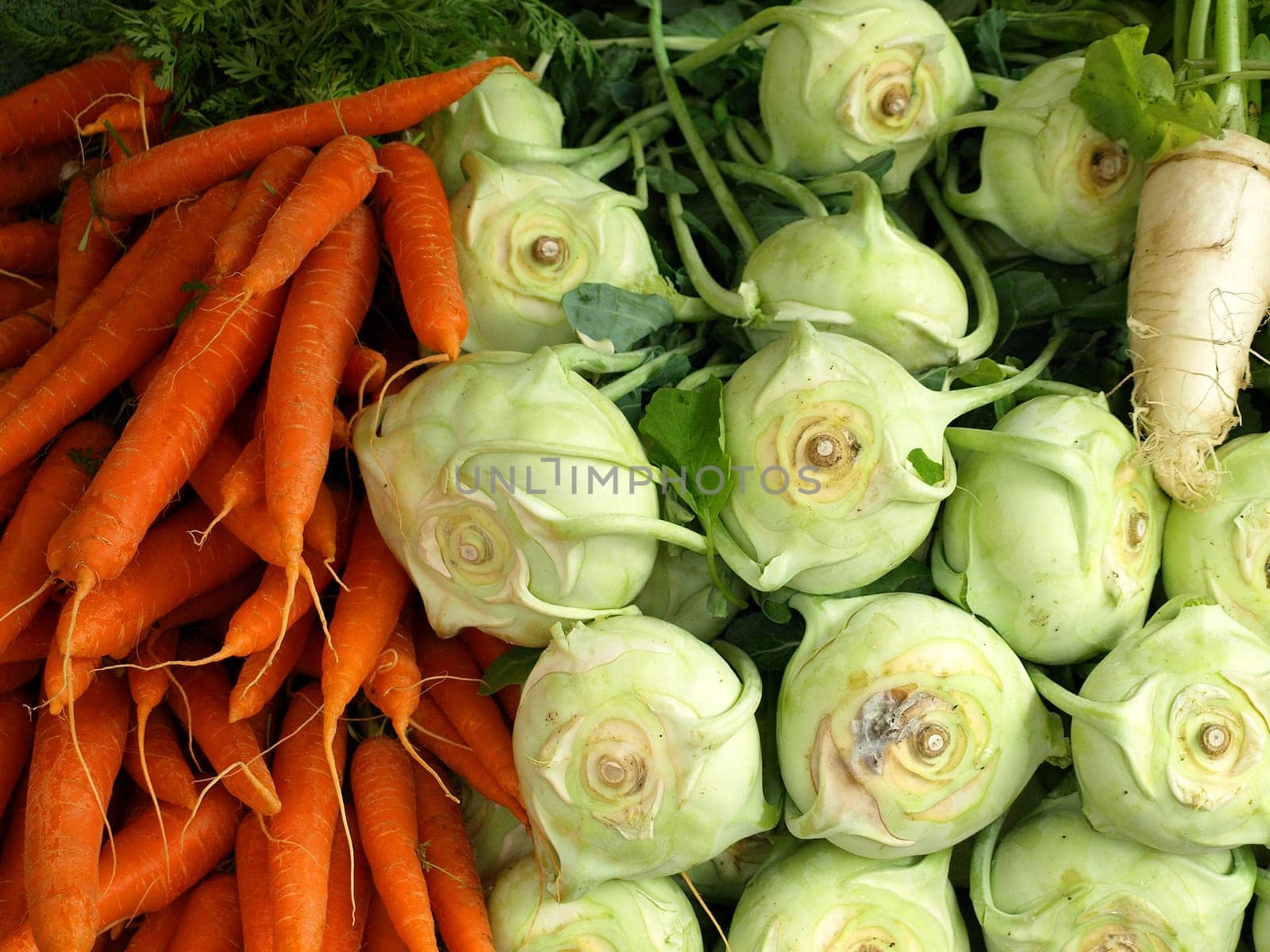 Carrots and kohlrabi