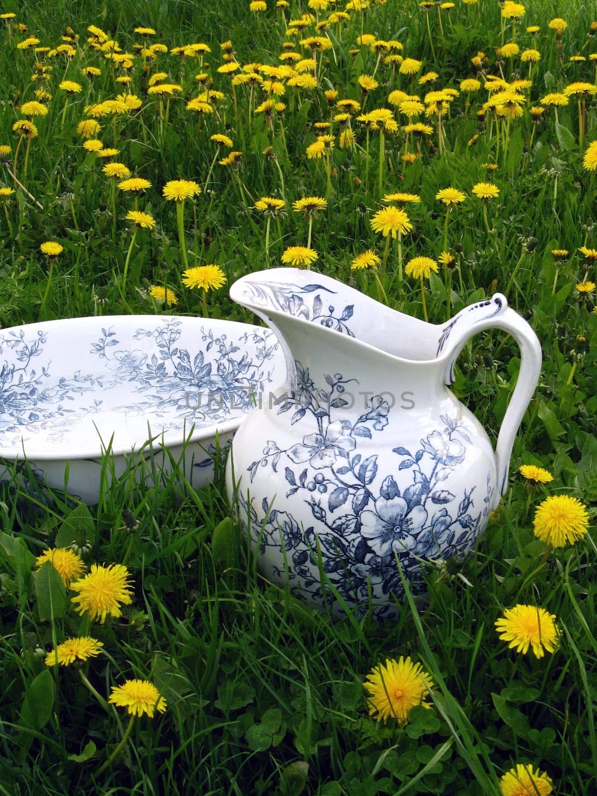 Classic wash basin and jug in meadow