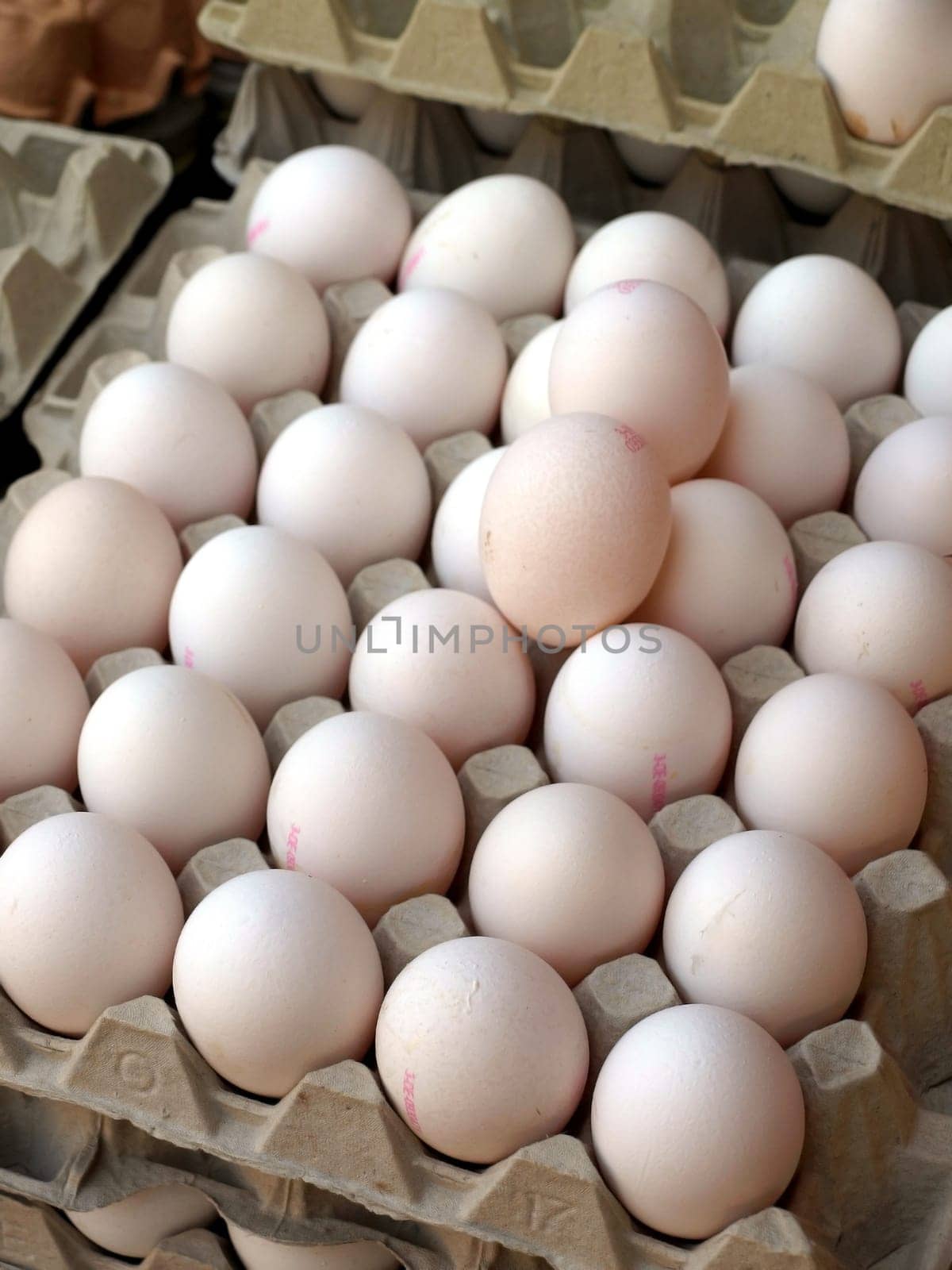 Eggs