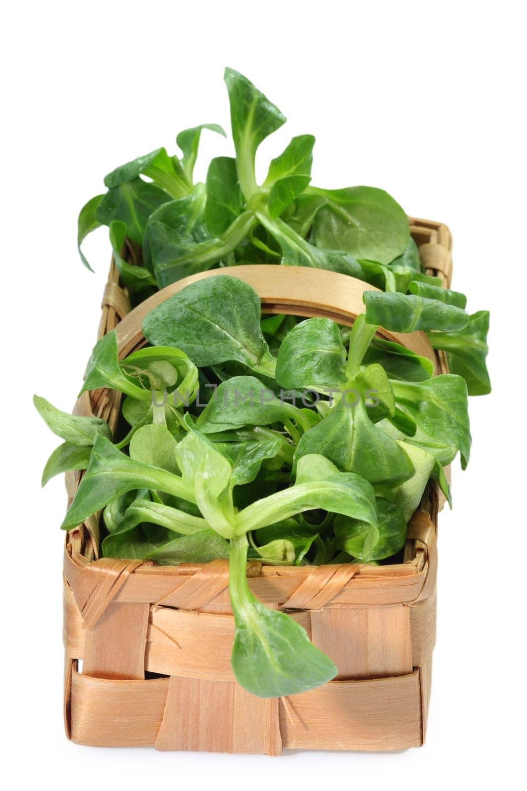 Corn salad