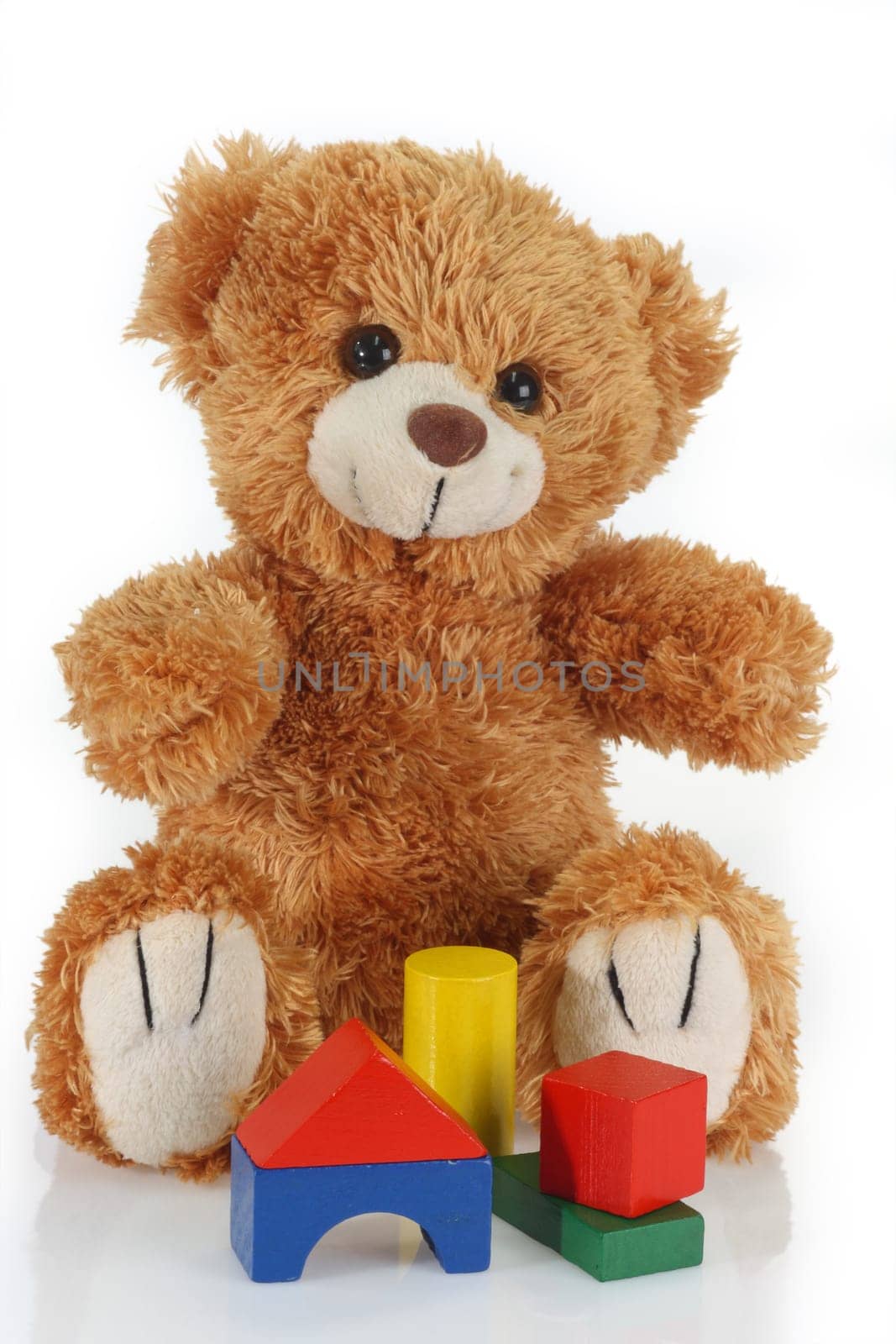 Toy