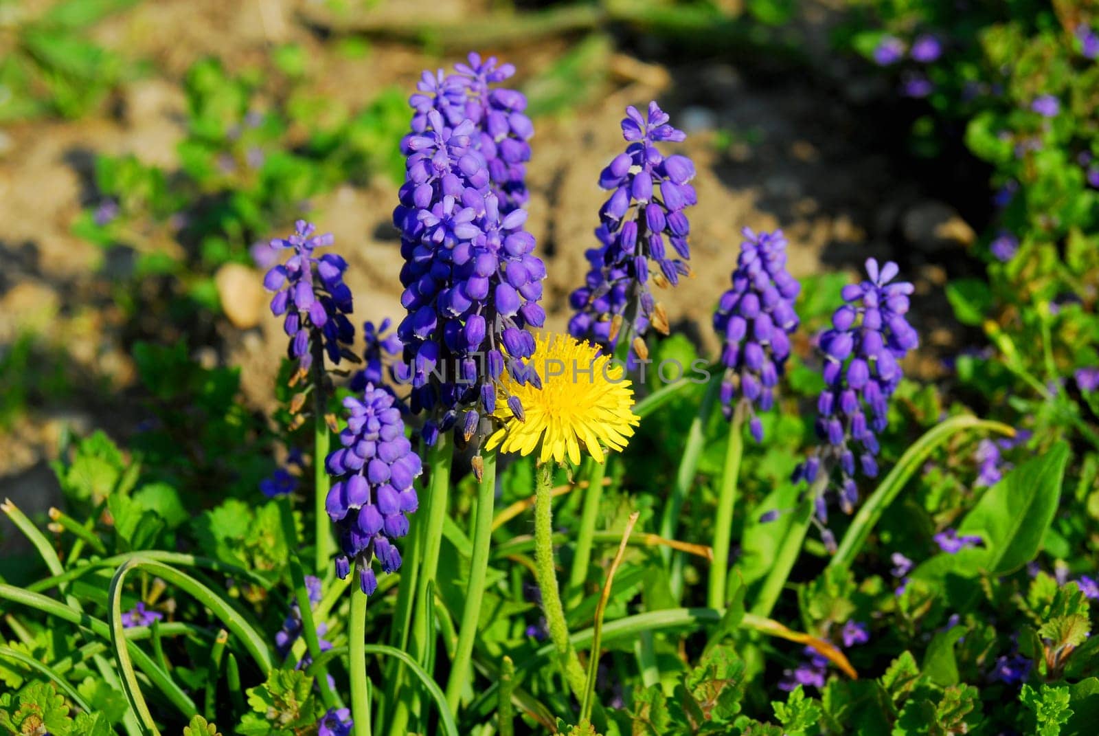 Spring is here