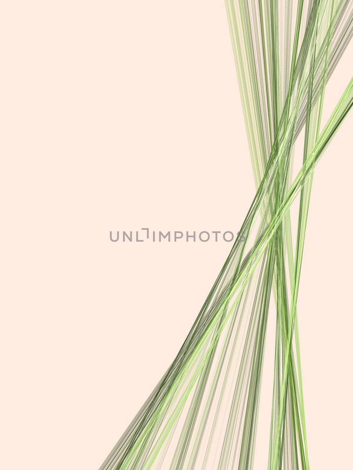 fractal abstract
