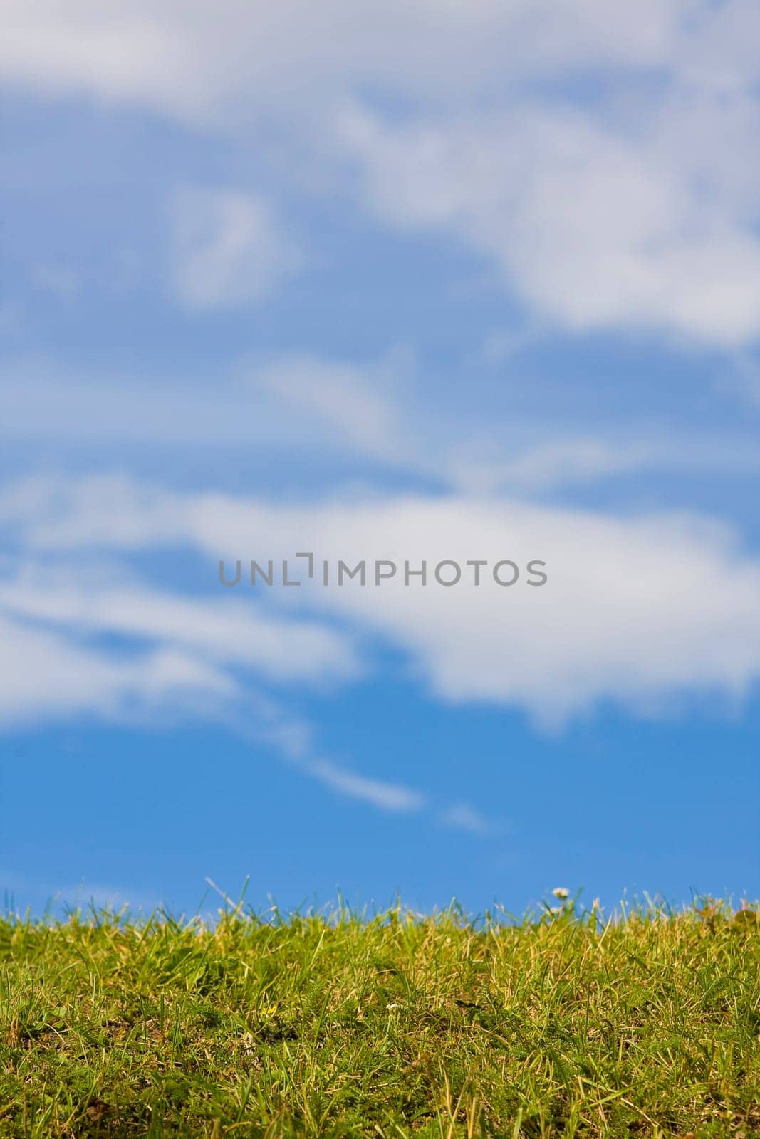Green grass and blue sky