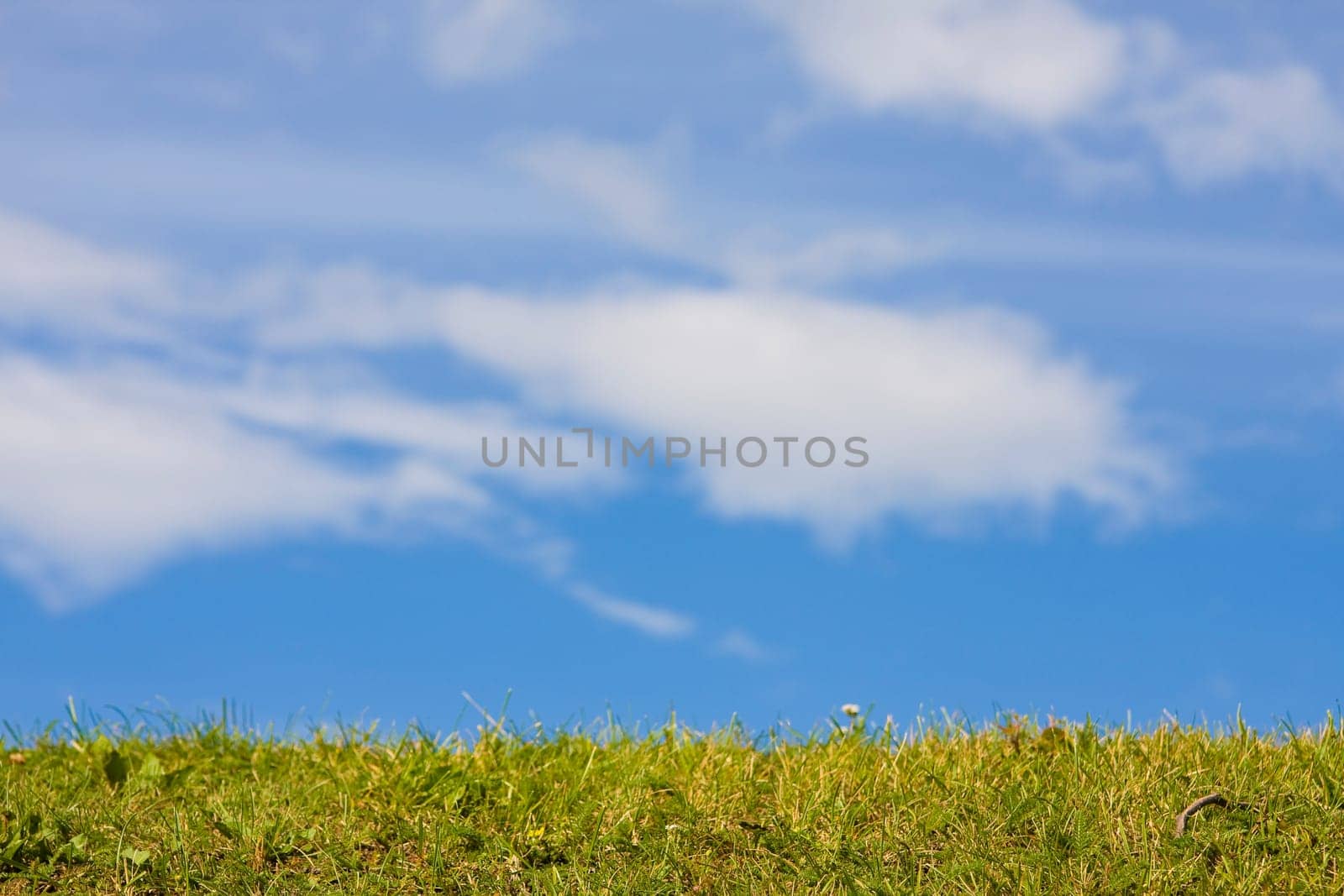 Green grass and blue sky