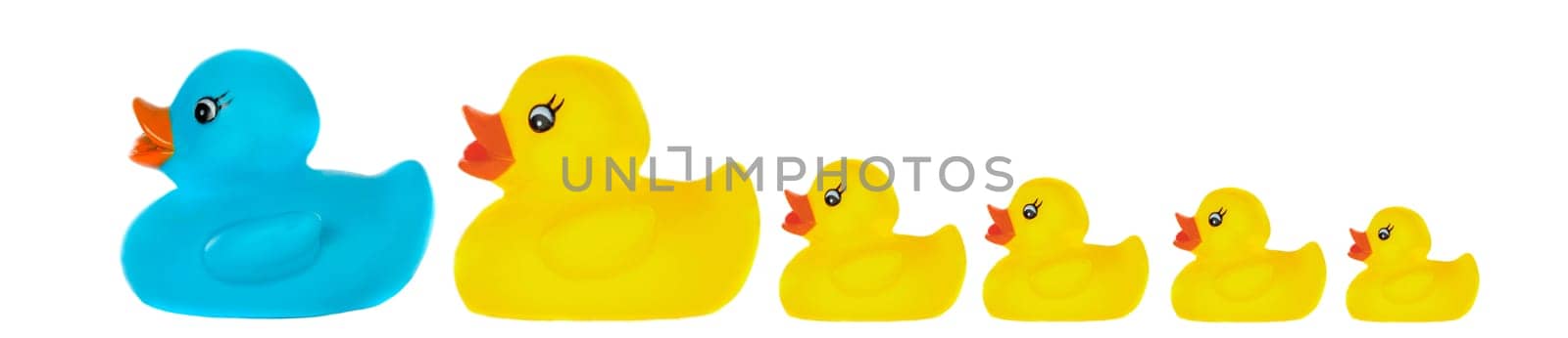 Family duck toy