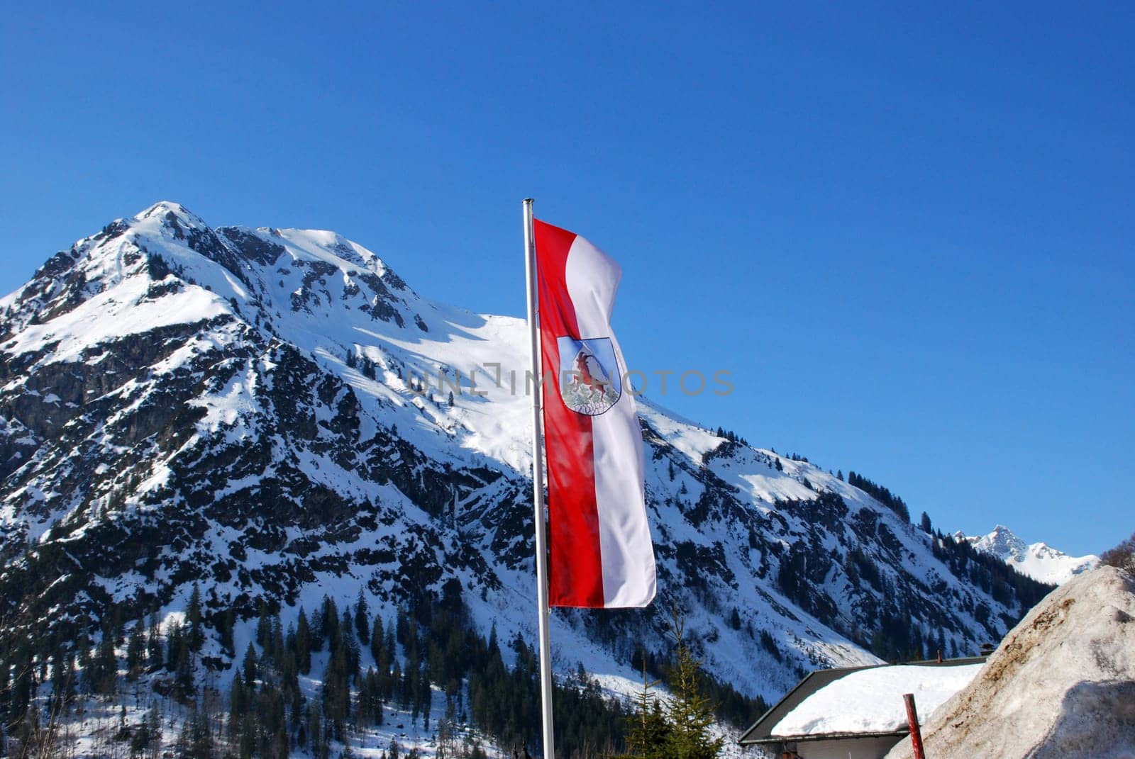 Flag 8167