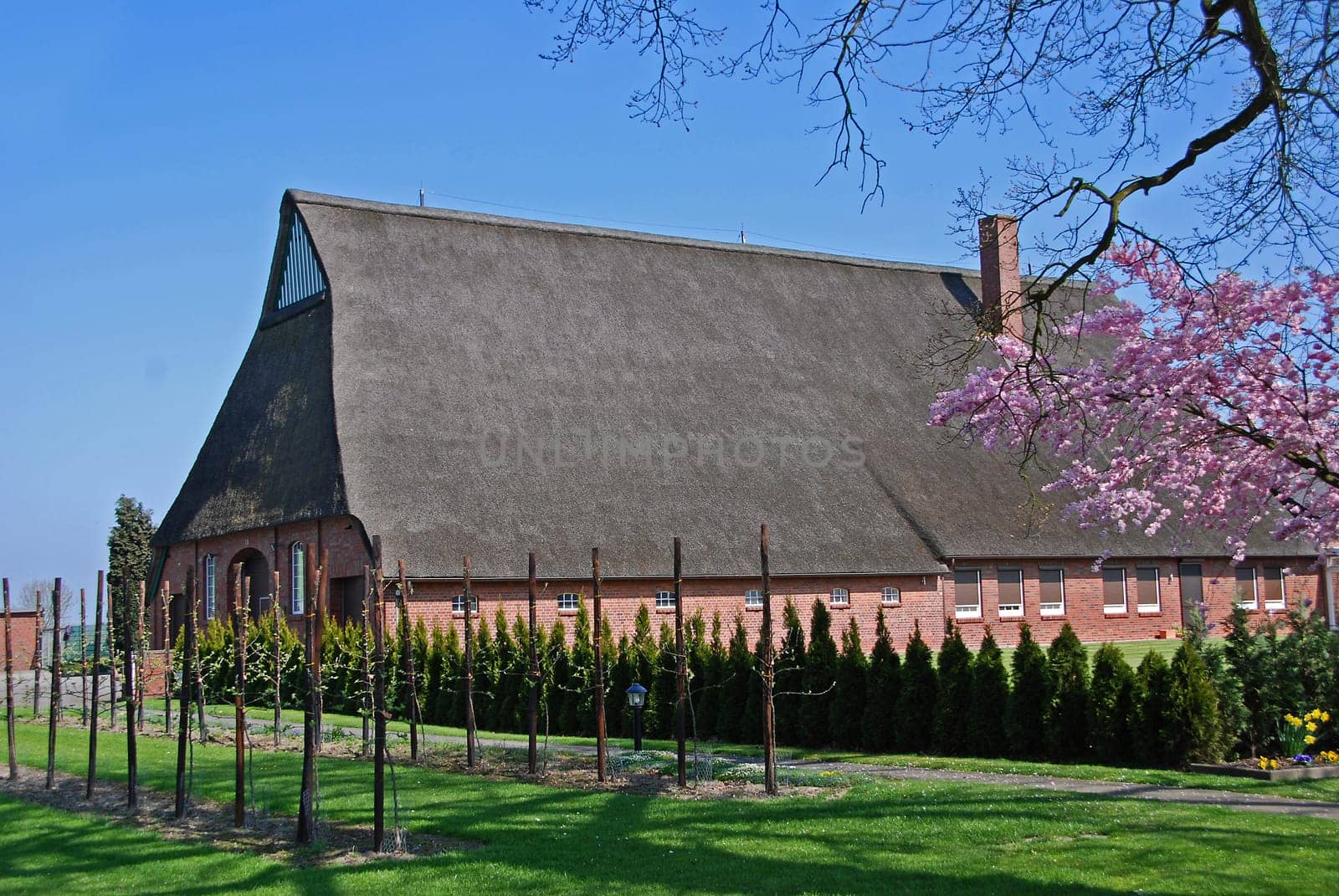 Large-scale farmer in Schleswig-Holstein