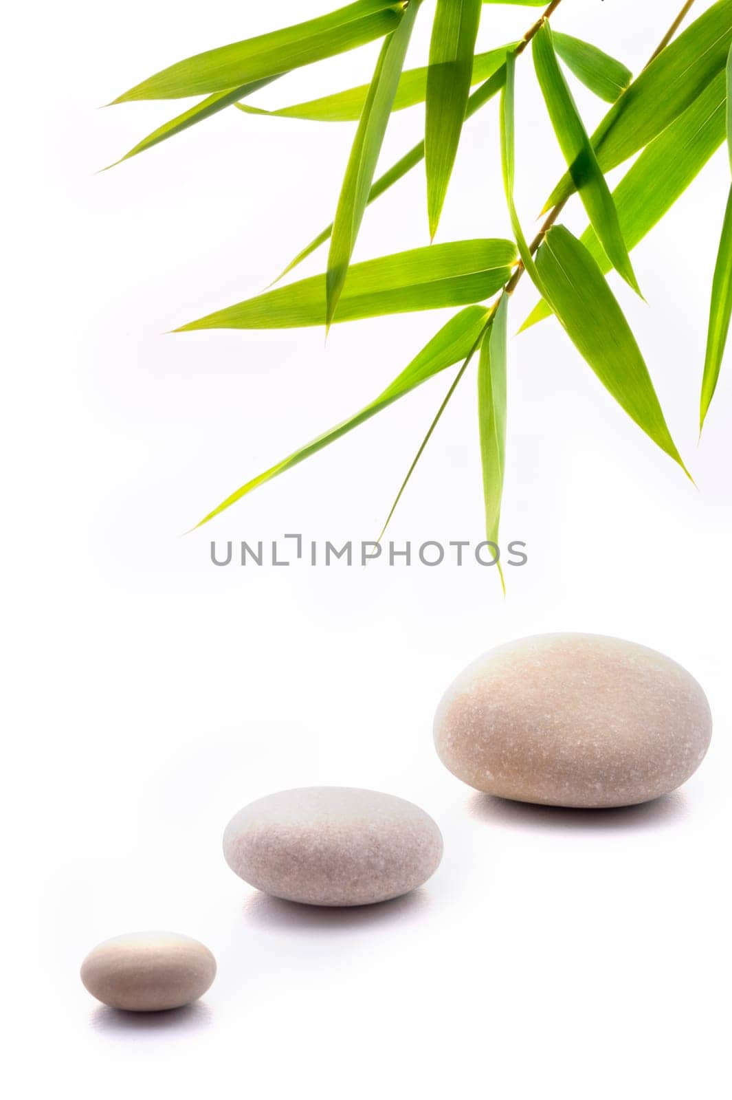 zen background