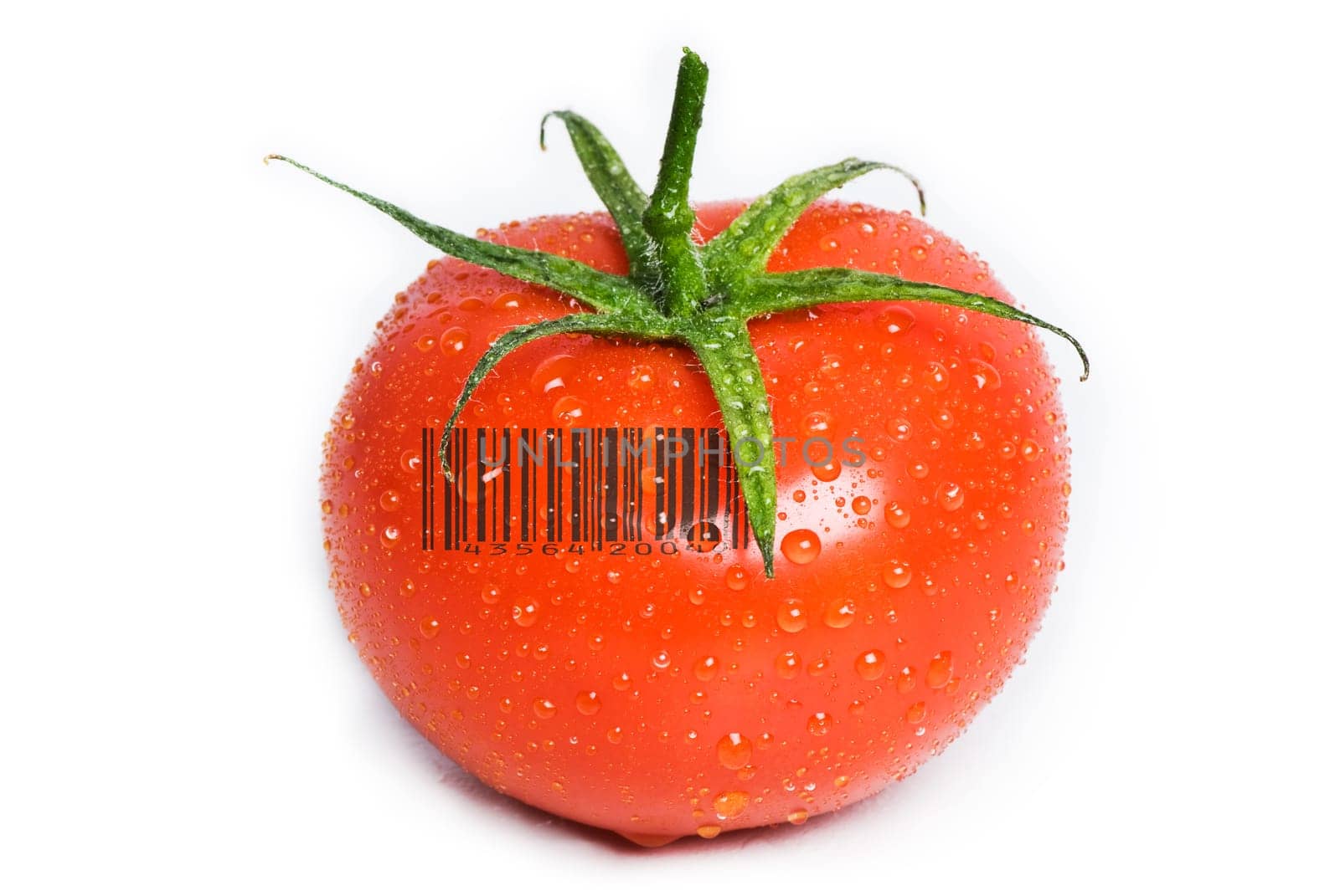 Isolated Wet Tomato.