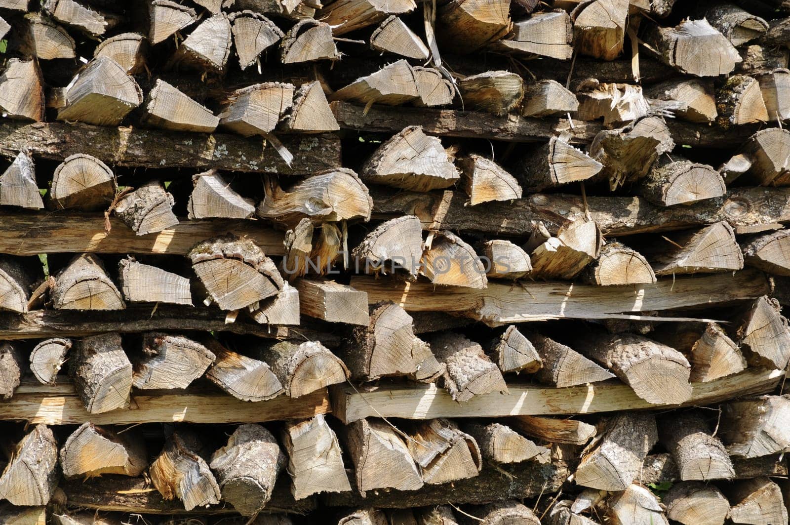 Firewood
