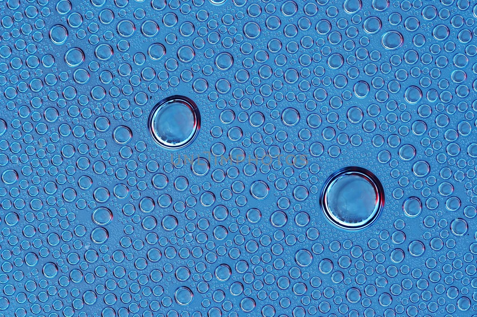 blebs in blue
