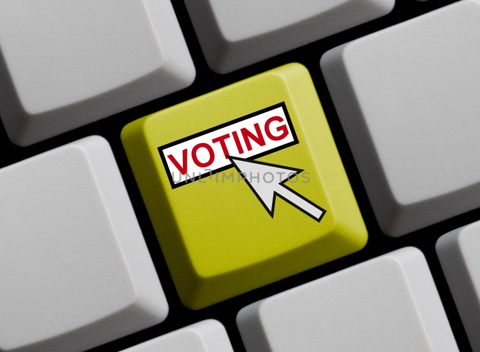Online Voting