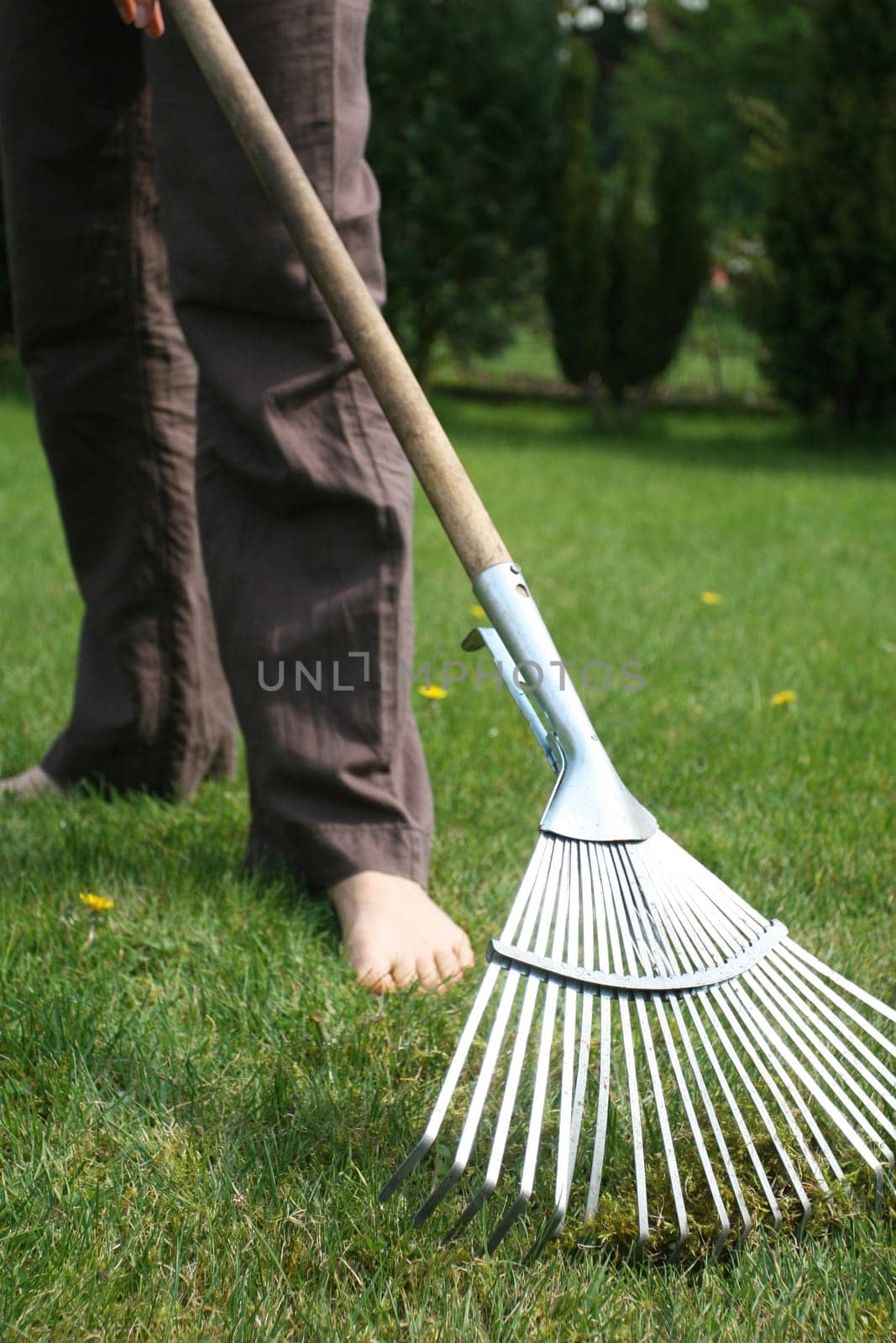 Gardening