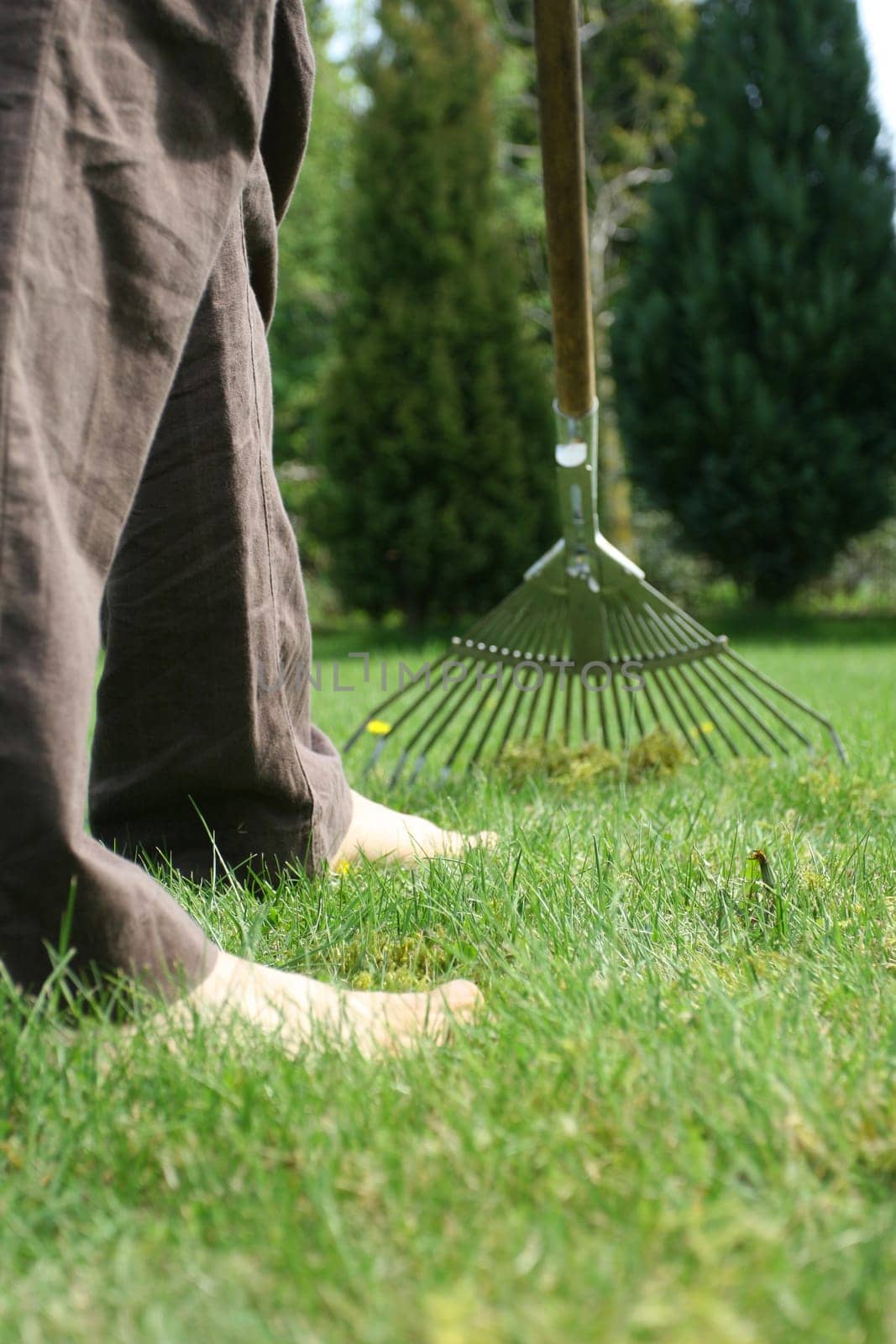 Gardening with rake