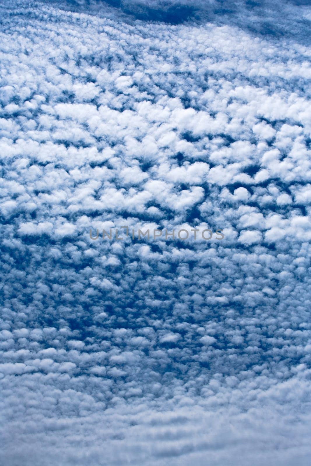 Altocumulus Clouds