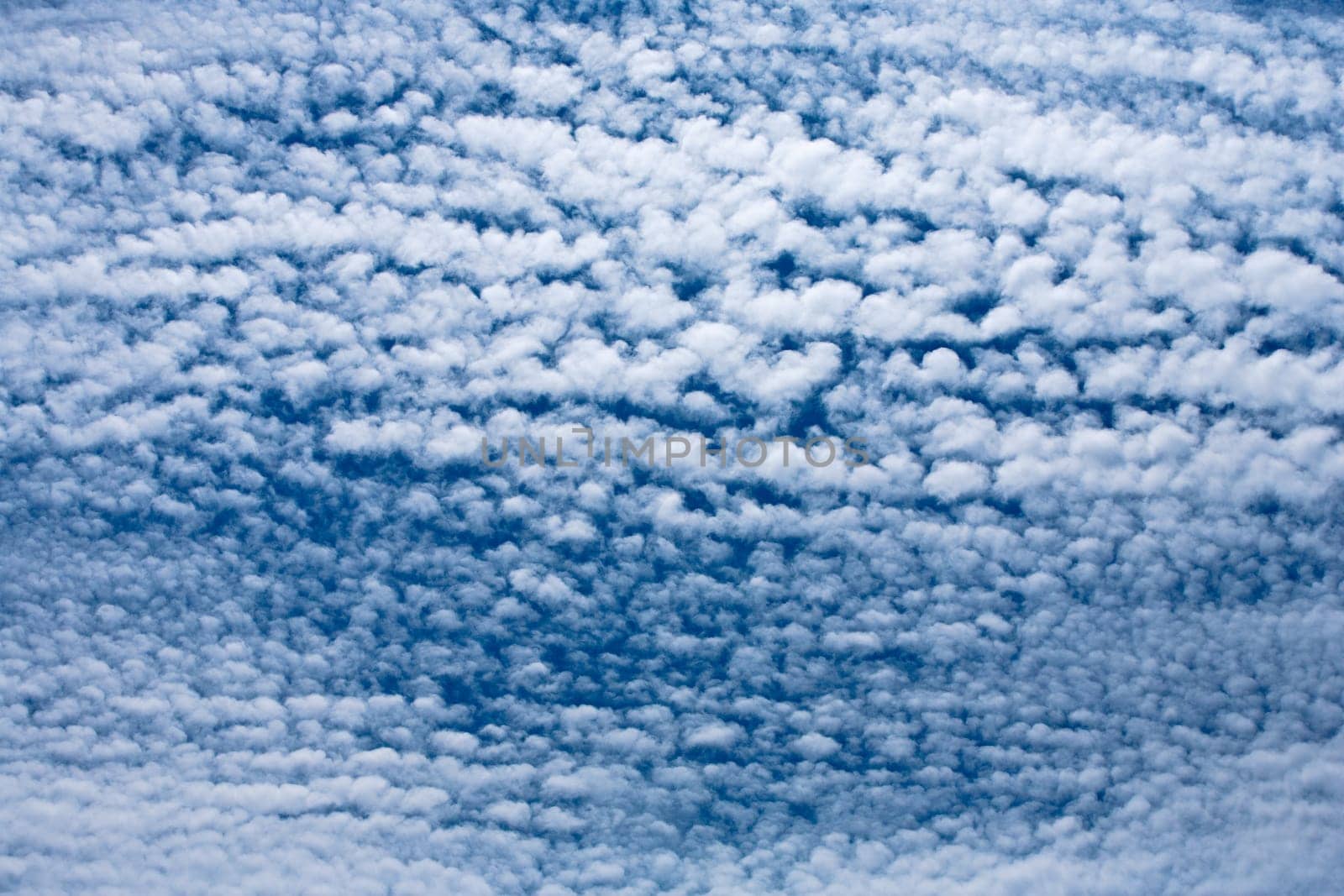 Altocumulus Clouds