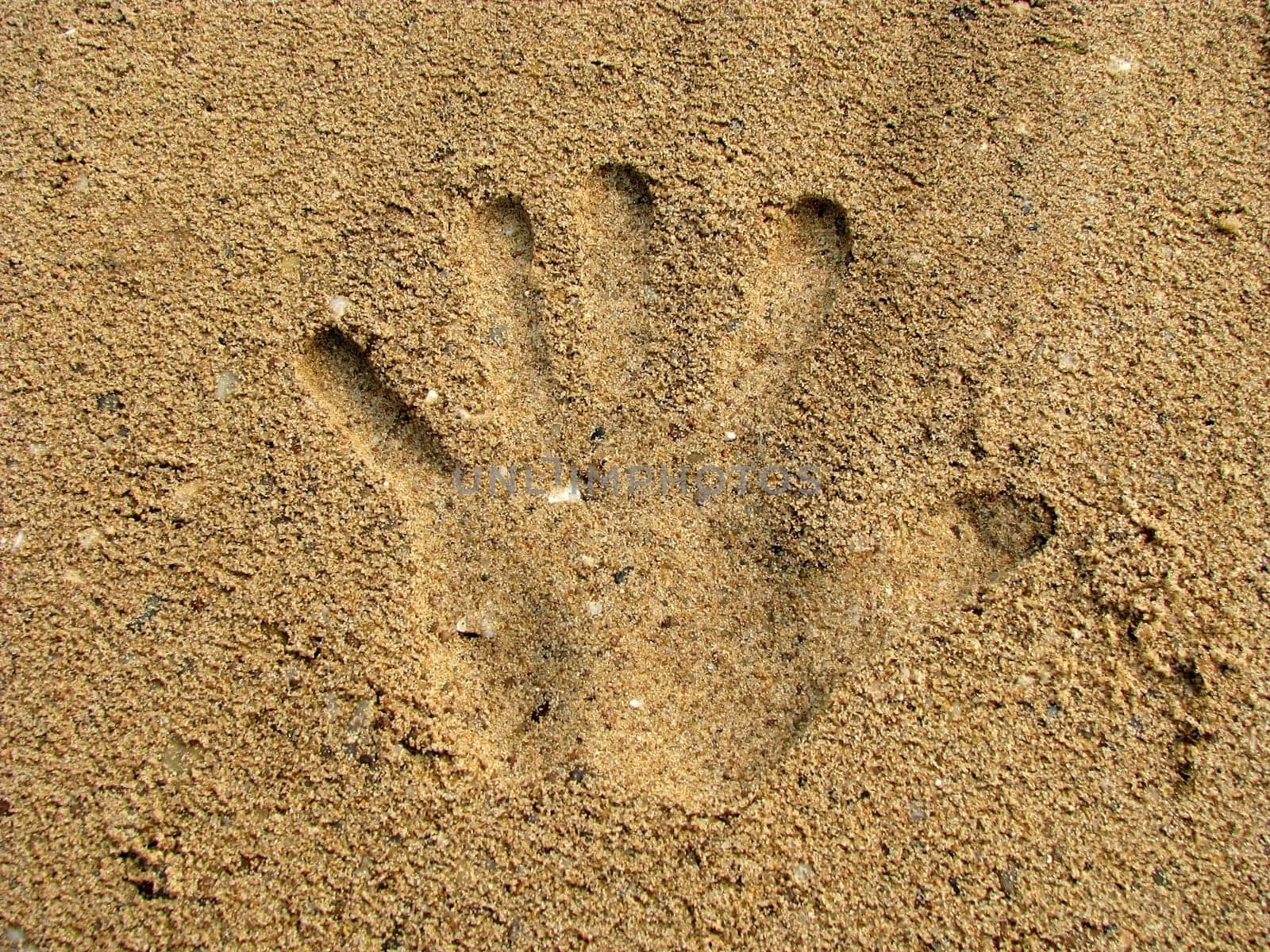 Handprint in the sand