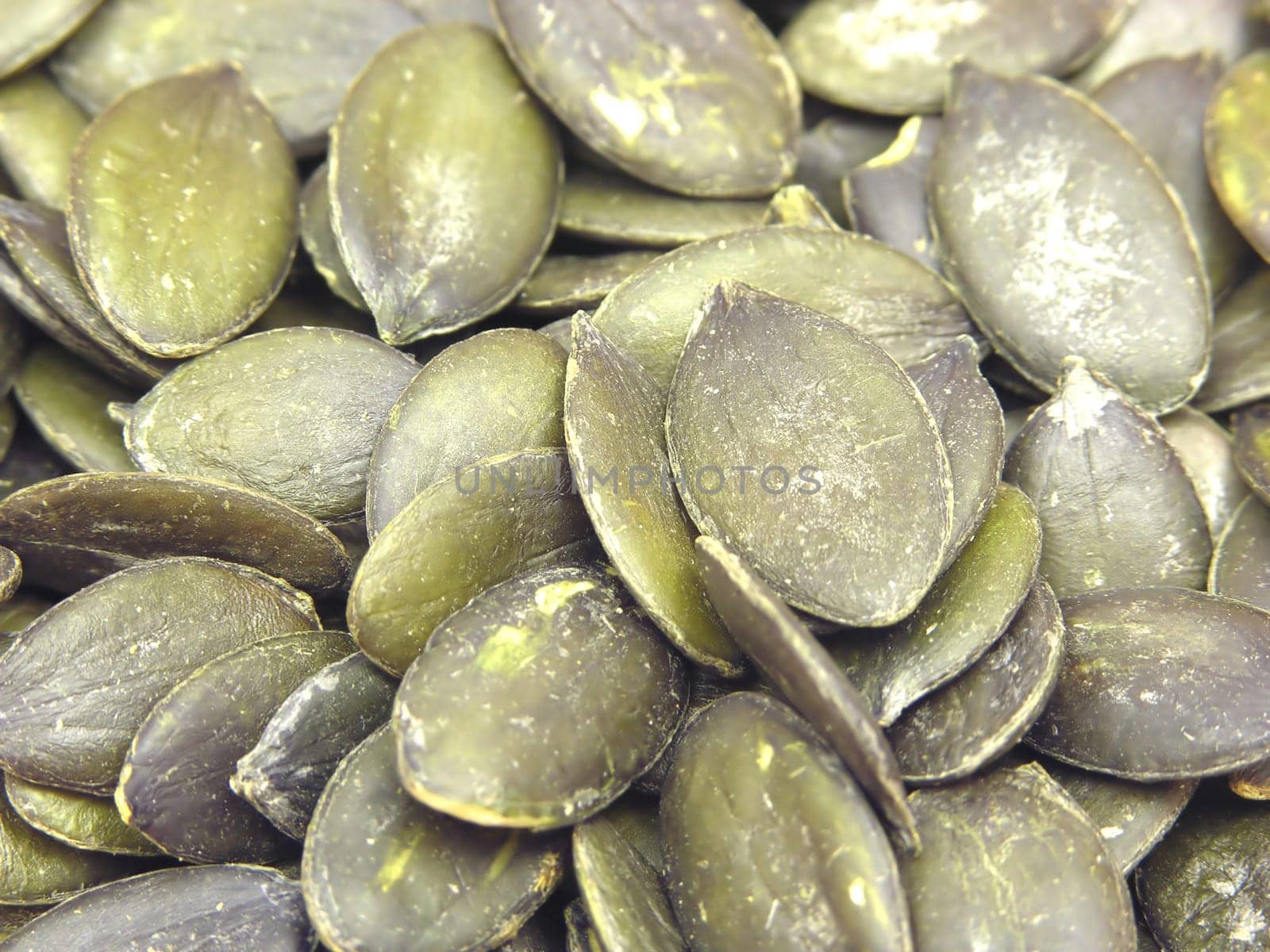 Several pumpkin seeds in close-up