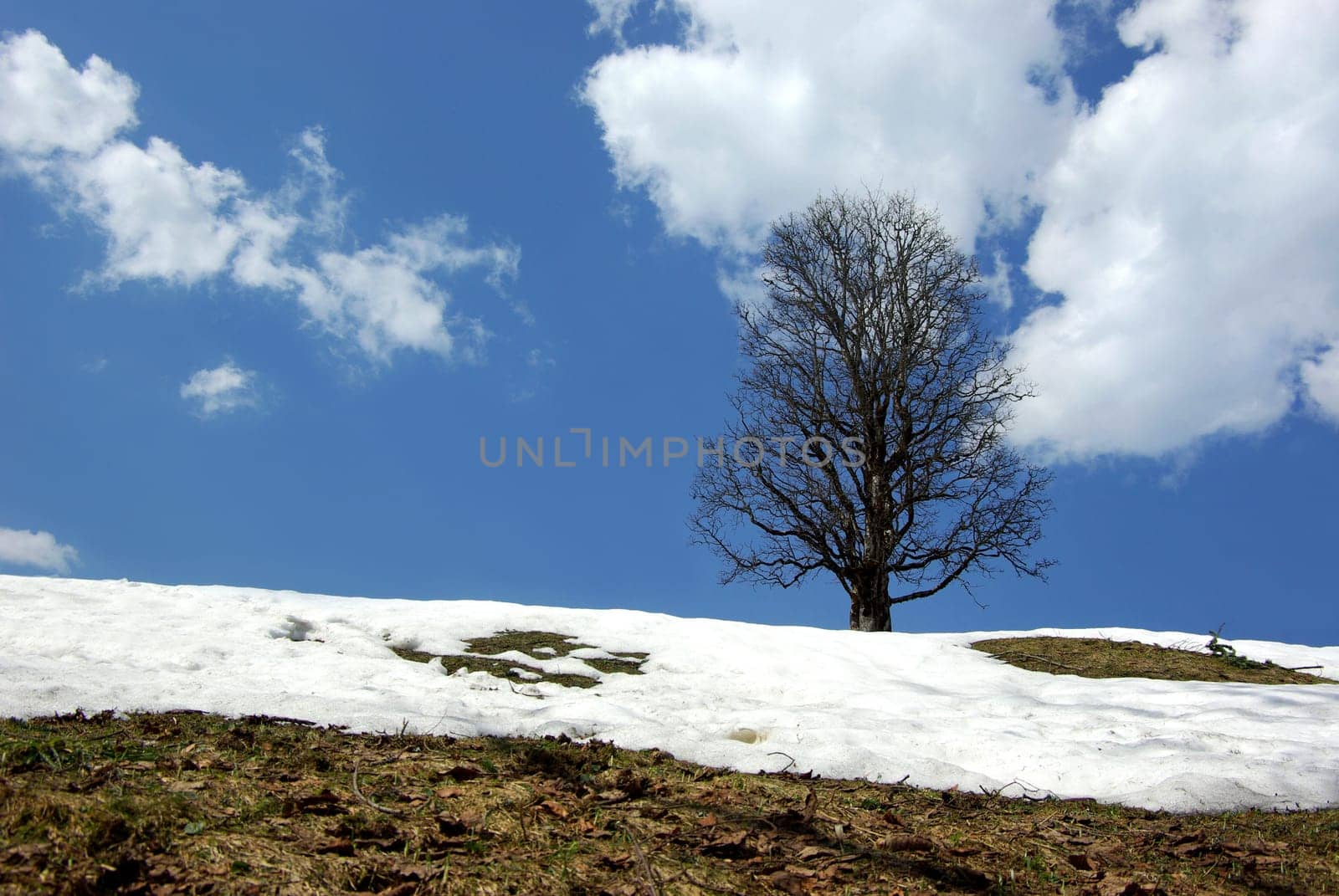 Beginning of spring