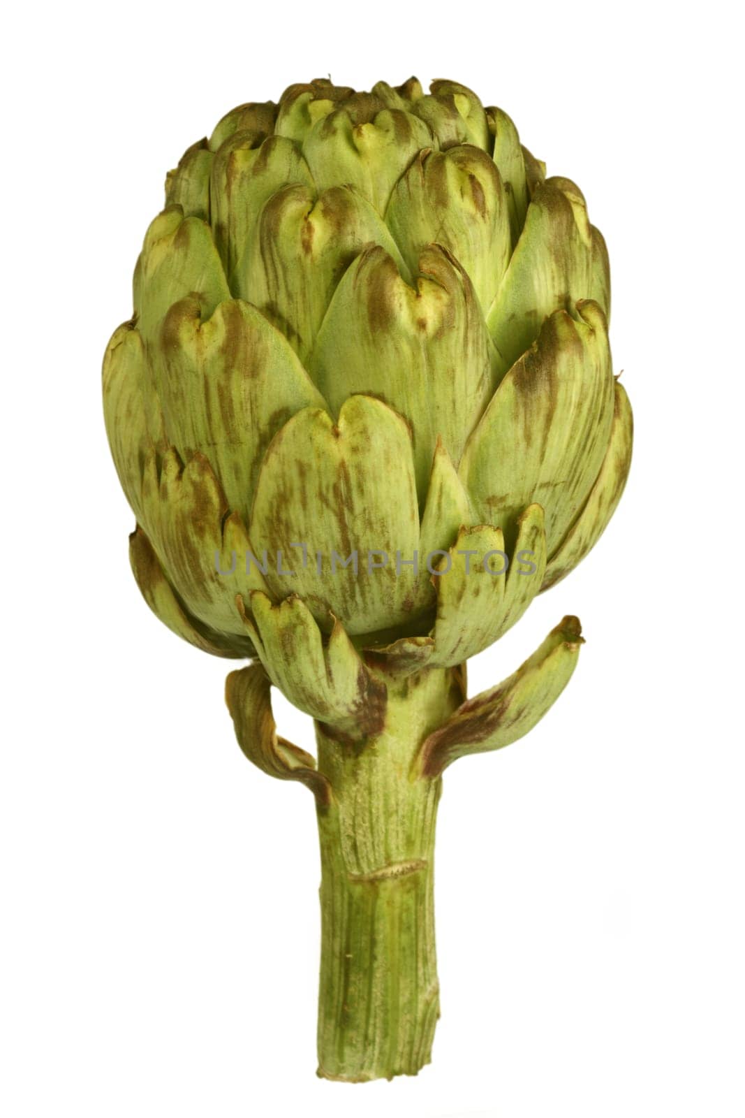 Artichoke