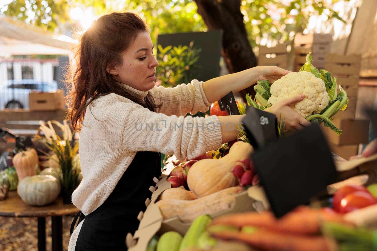 Young female vendor in apron preparing display for working day at outdoor farmers market, putting fresh home-grown organic fruits and vegetables on farm stand. Local agricultural businesses concept