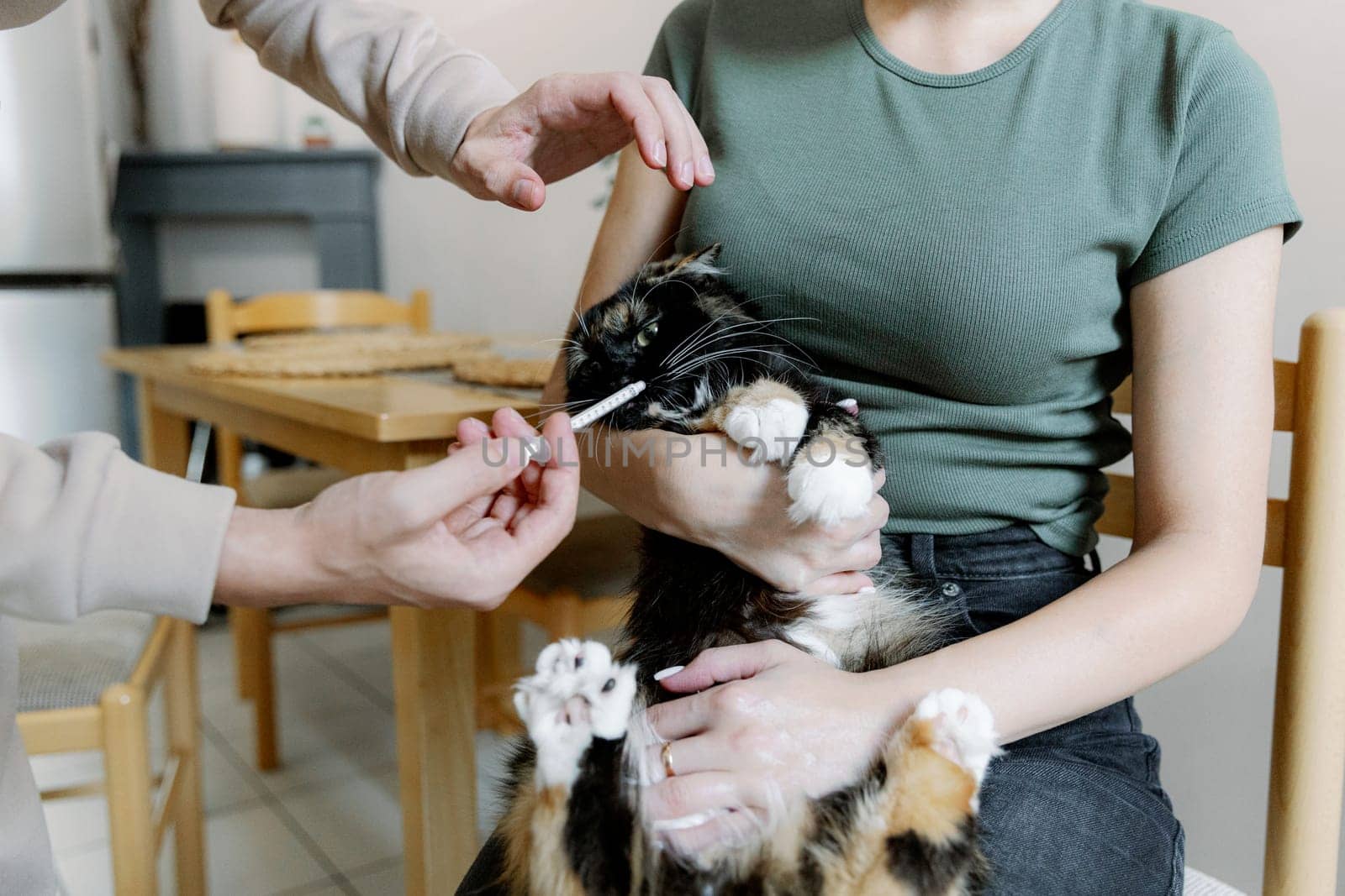 A young Caucasian unrecognizable man pours medicinal liquid with a syringe into the mouth of a cat sitting in the arms of a girl, close-up side view.