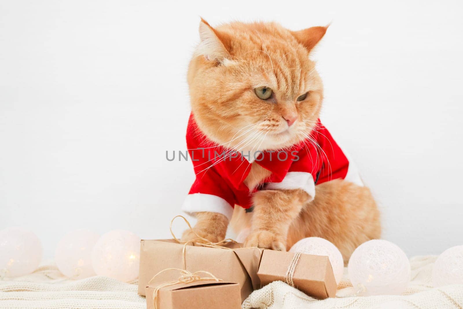 Portrait of a pensive redhead cat dressed as Santa Claus sits near three craft gifts, close-up side view.