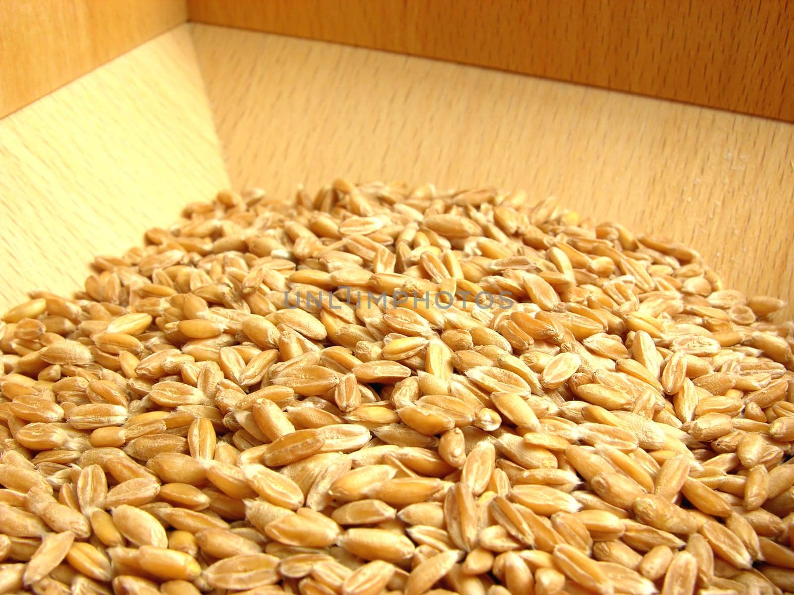 Filled flour mill with grains for grinding