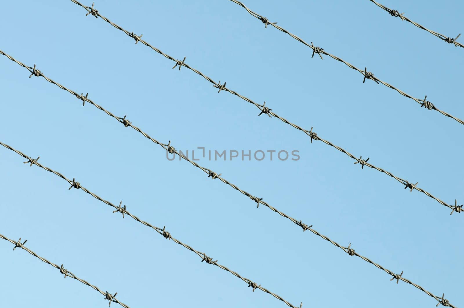 Barbed wire