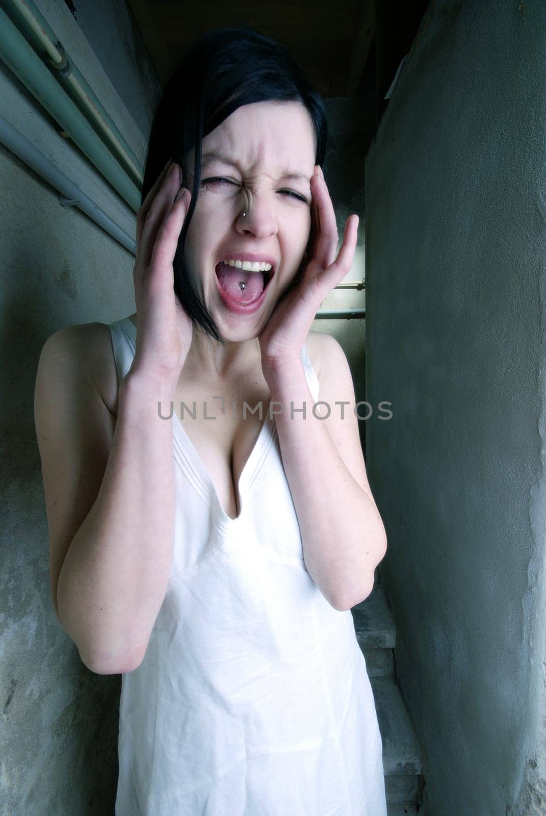 Shout