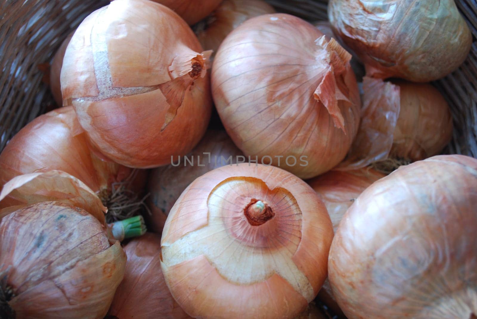 Onions in a Braided Brown Basket
