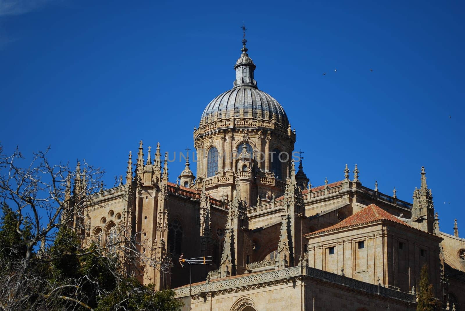 New Cathedral Dome in Salamanca, Spain