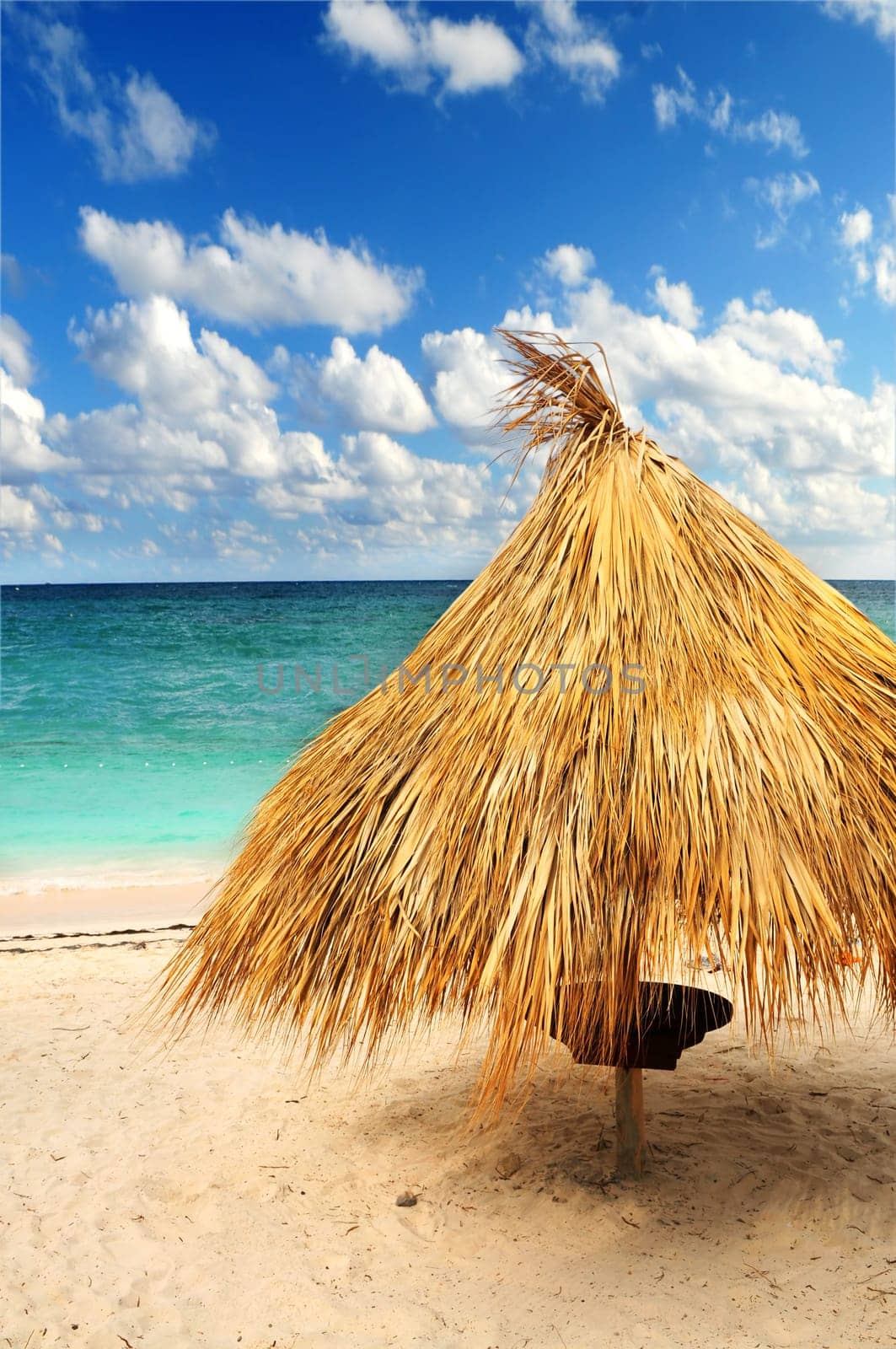 Tropical beach
