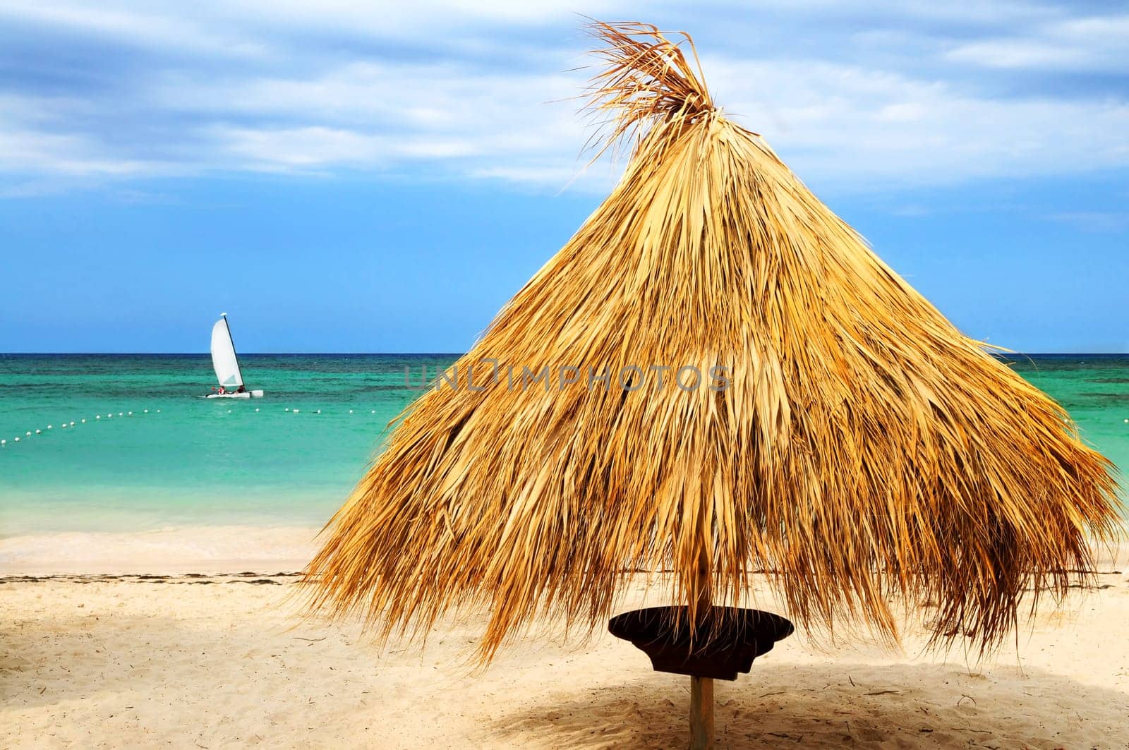 Tropical beach