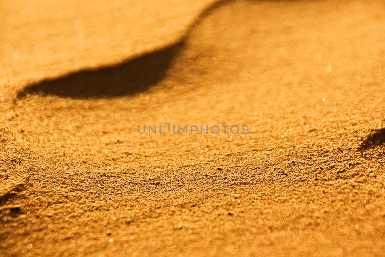 desert sand close-up