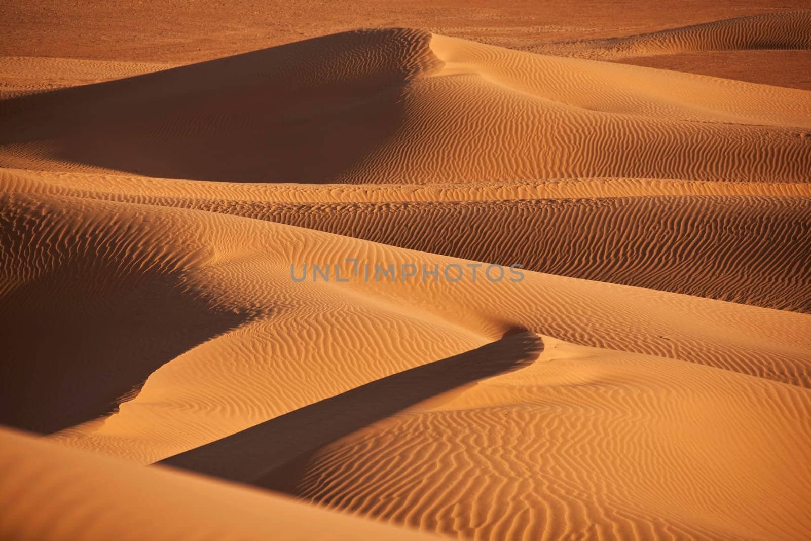 desert dunes in Sahara