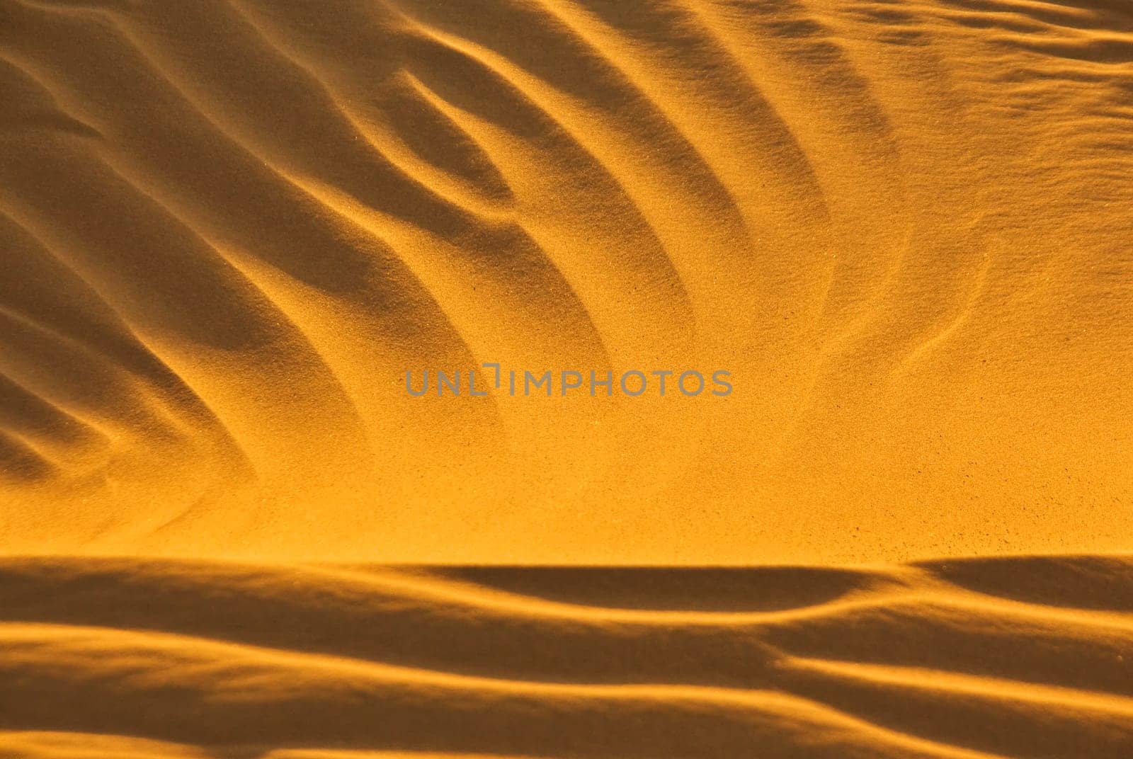 desert sand in evening sun