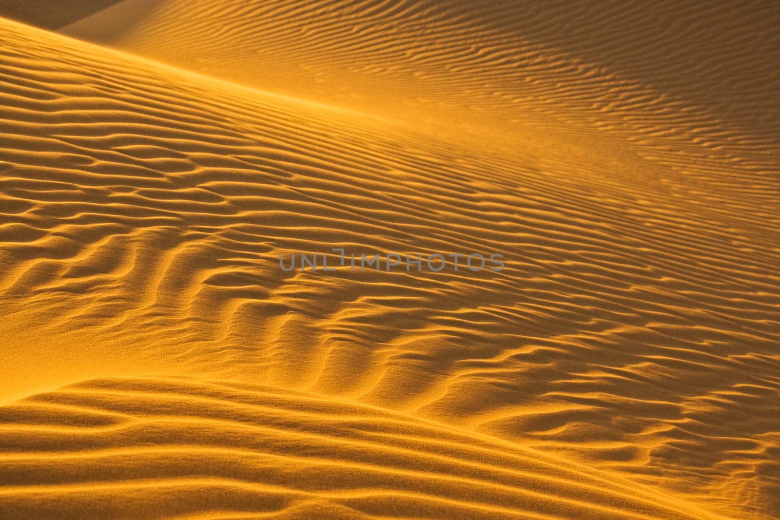 sand dunes in evening sun