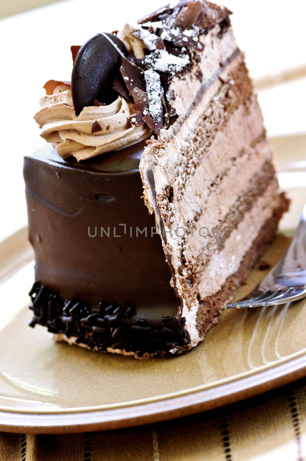 Slice of chocolate cake