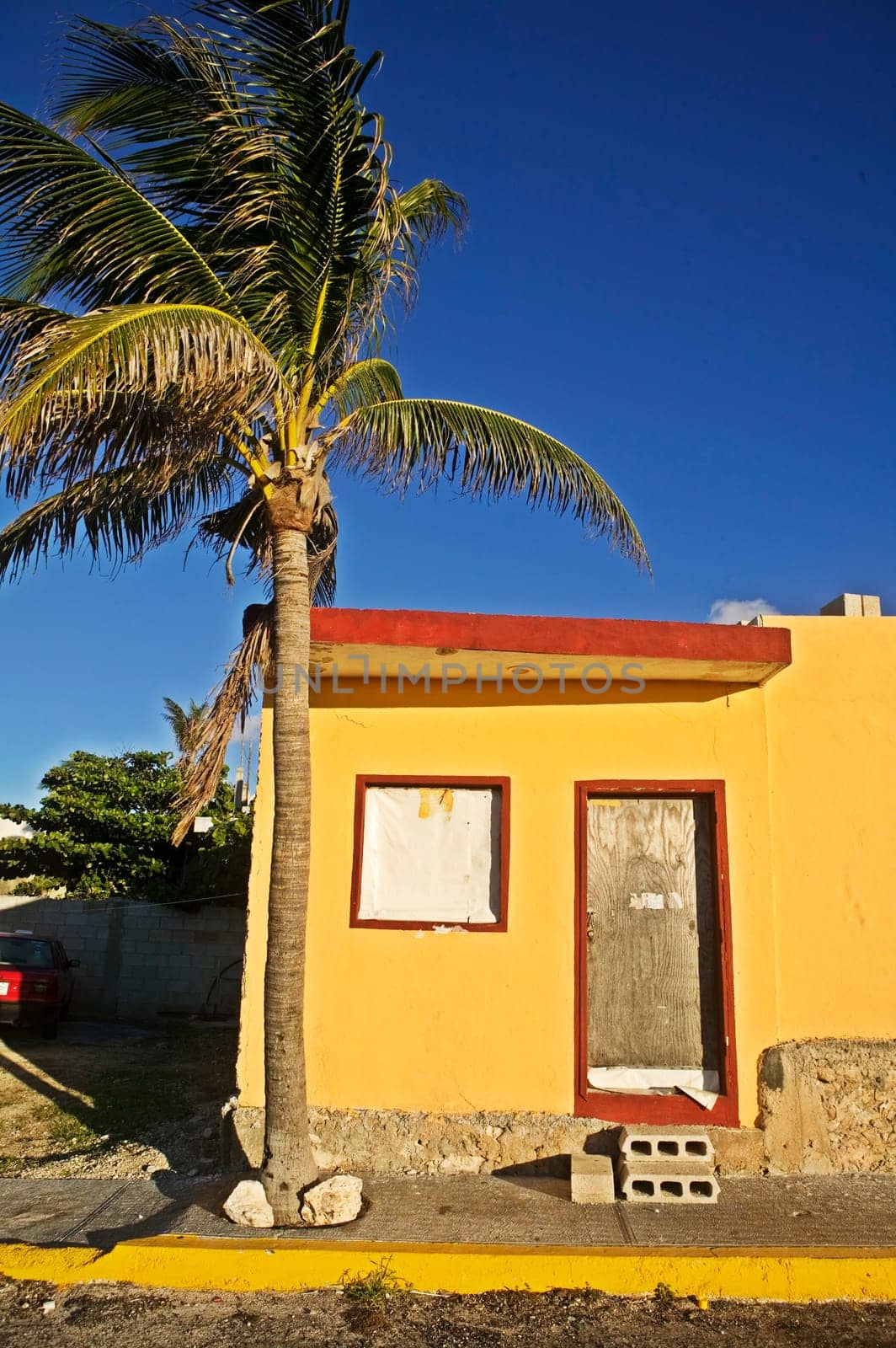 Yellow house and Palm tree on the Corner
